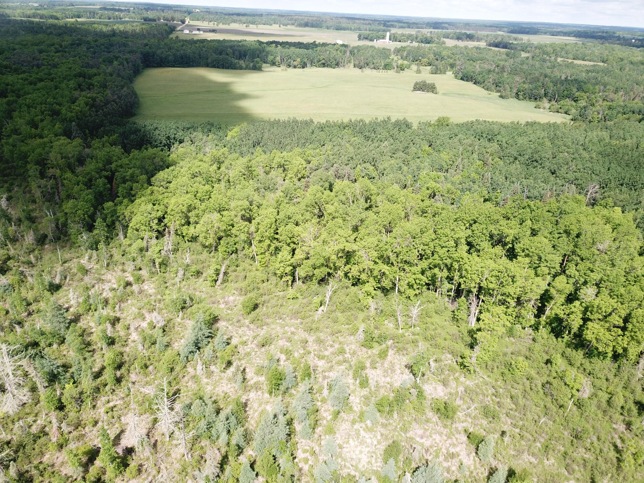 Tbd1 Mud Lake Road Property Photo 13
