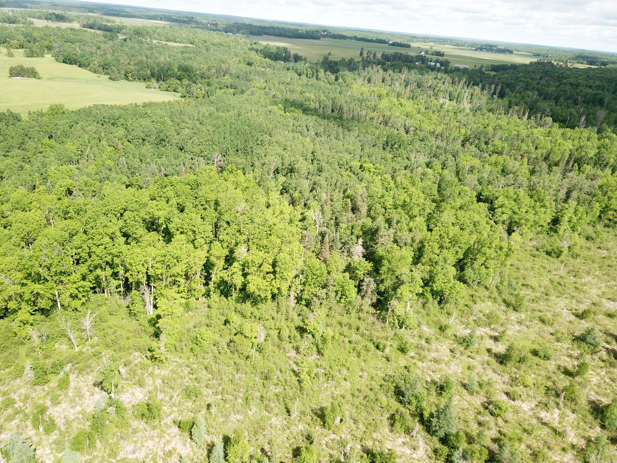 Tbd1 Mud Lake Road Property Photo 14