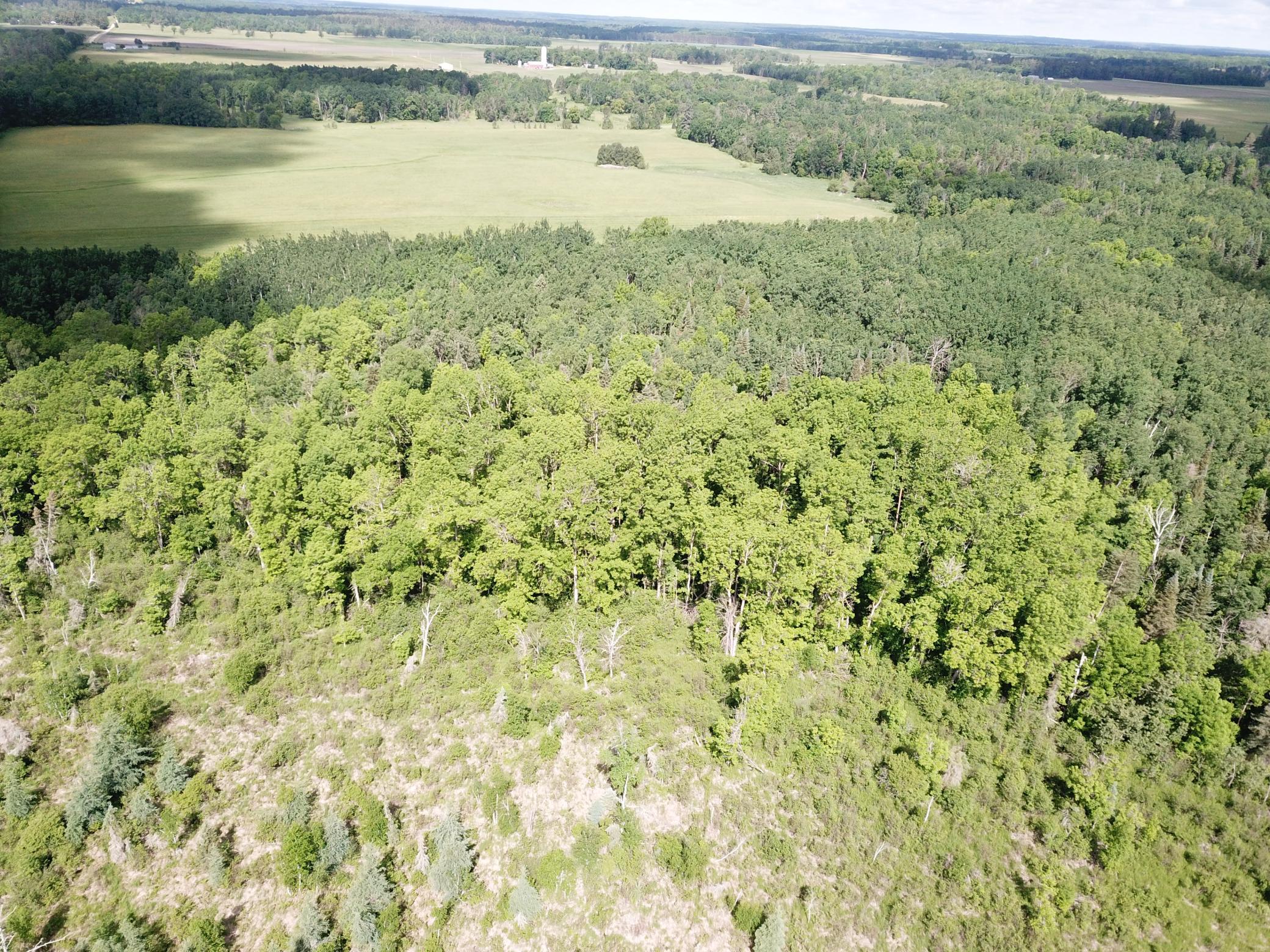Tbd1 Mud Lake Road Property Photo 15