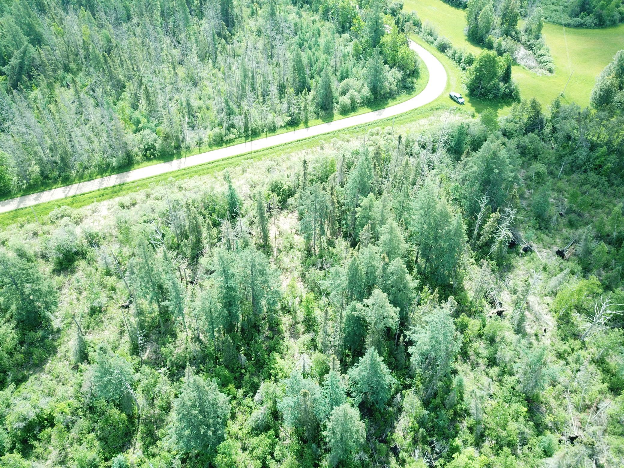 Tbd1 Mud Lake Road Property Photo 16