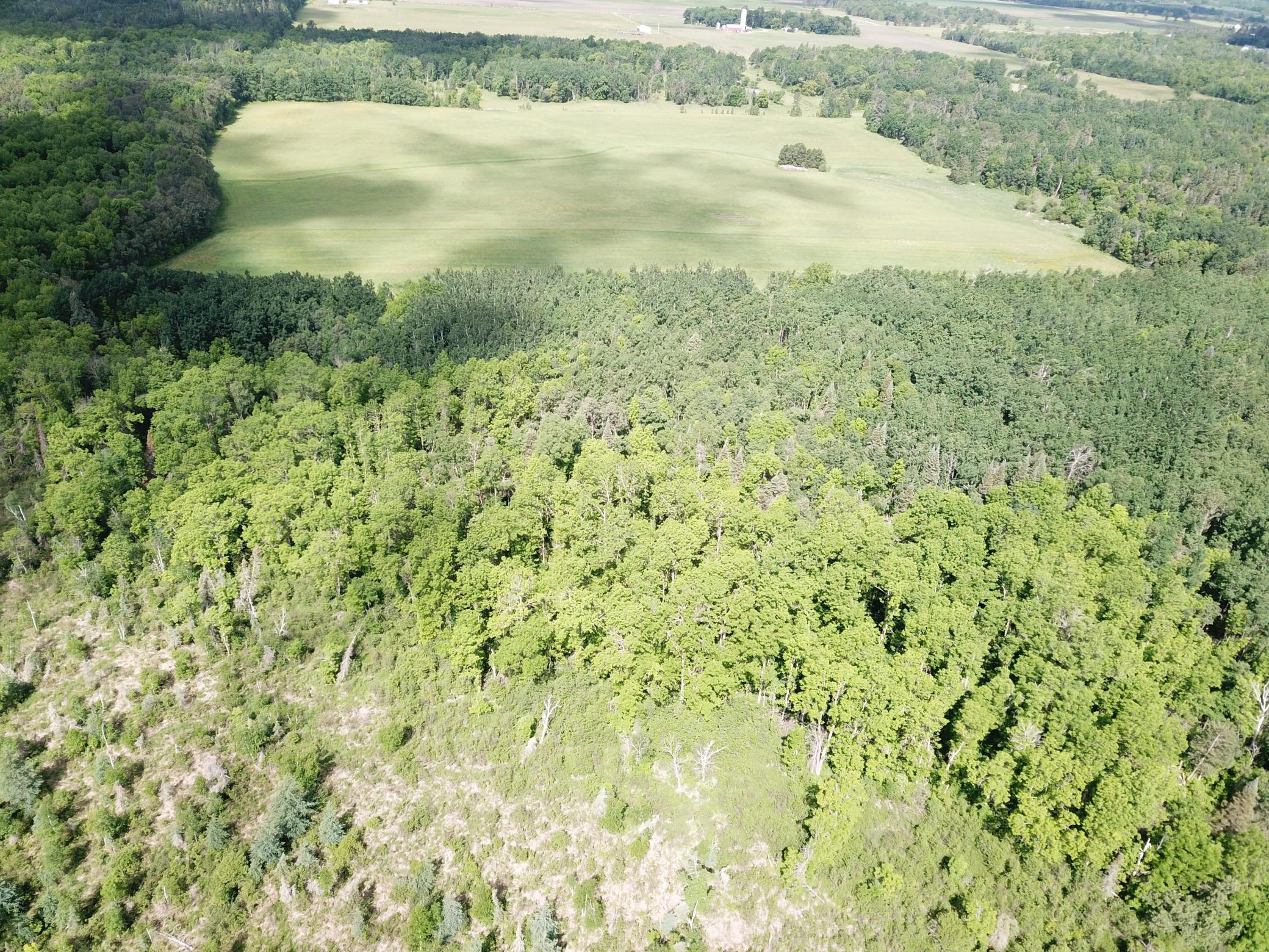 Tbd1 Mud Lake Road Property Photo 17