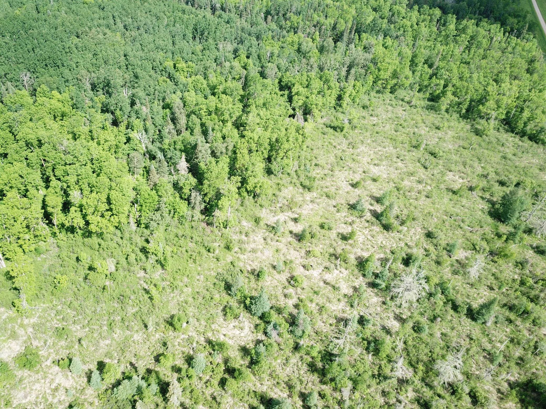 Tbd1 Mud Lake Road Property Photo 18