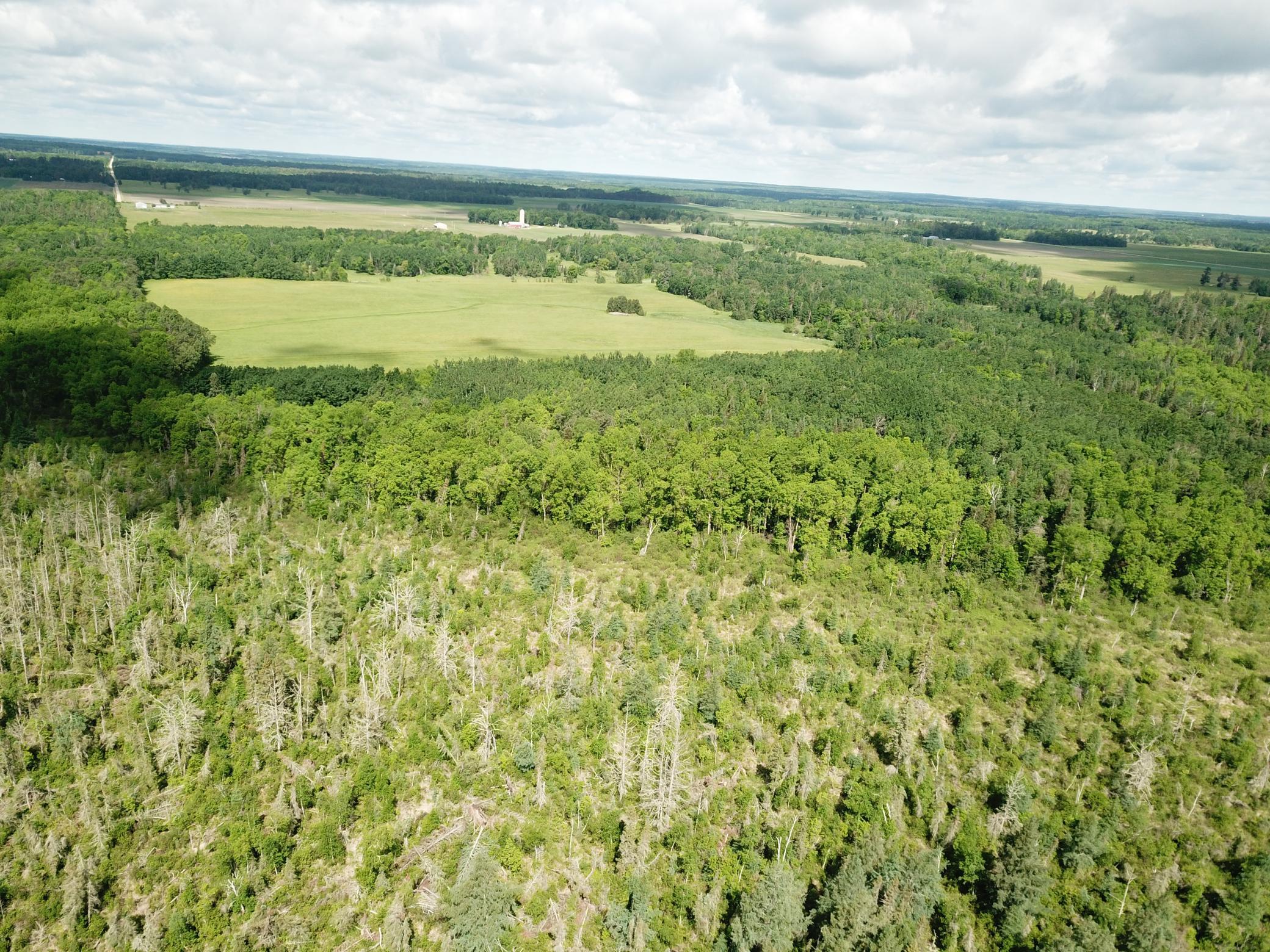Tbd1 Mud Lake Road Property Photo 19