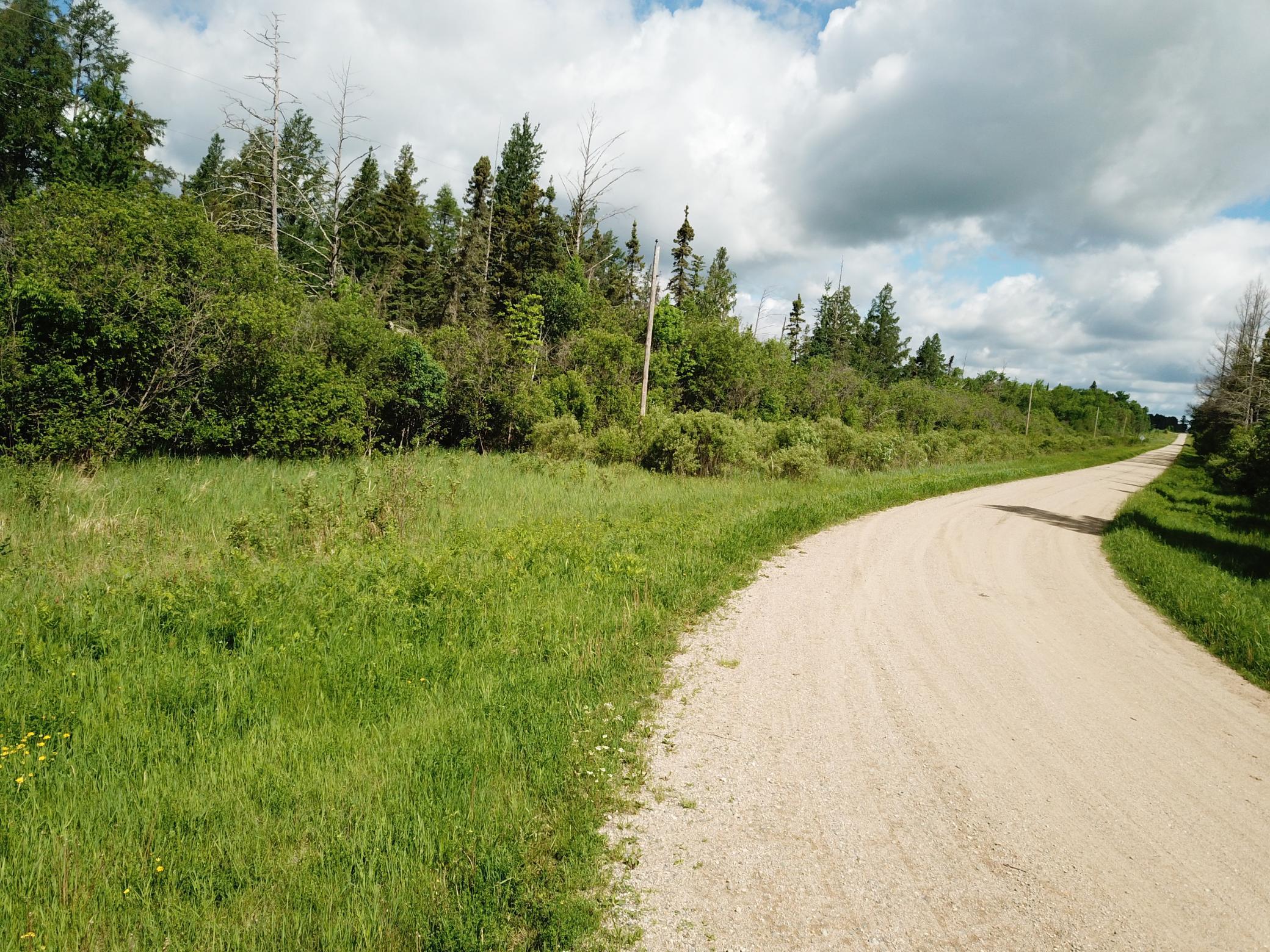 Tbd1 Mud Lake Road Property Photo 20