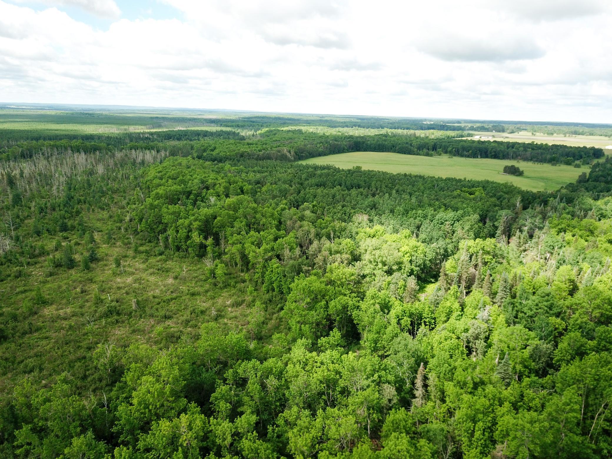 Tbd1 Mud Lake Road Property Photo 21