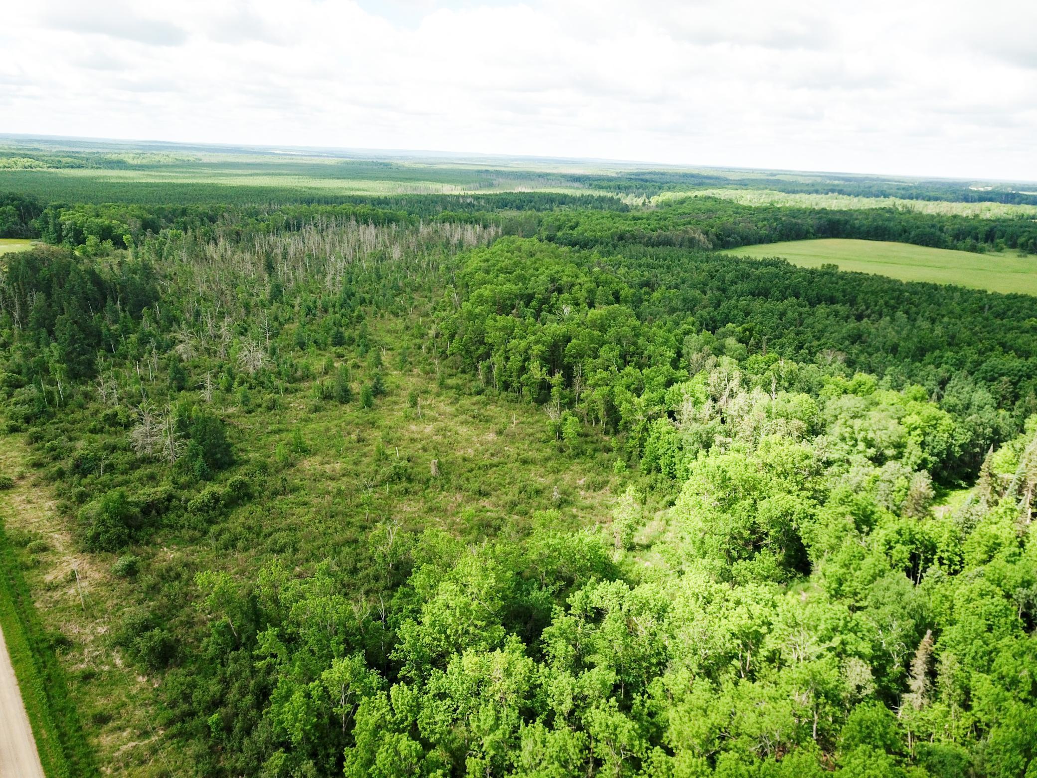 Tbd1 Mud Lake Road Property Photo 22