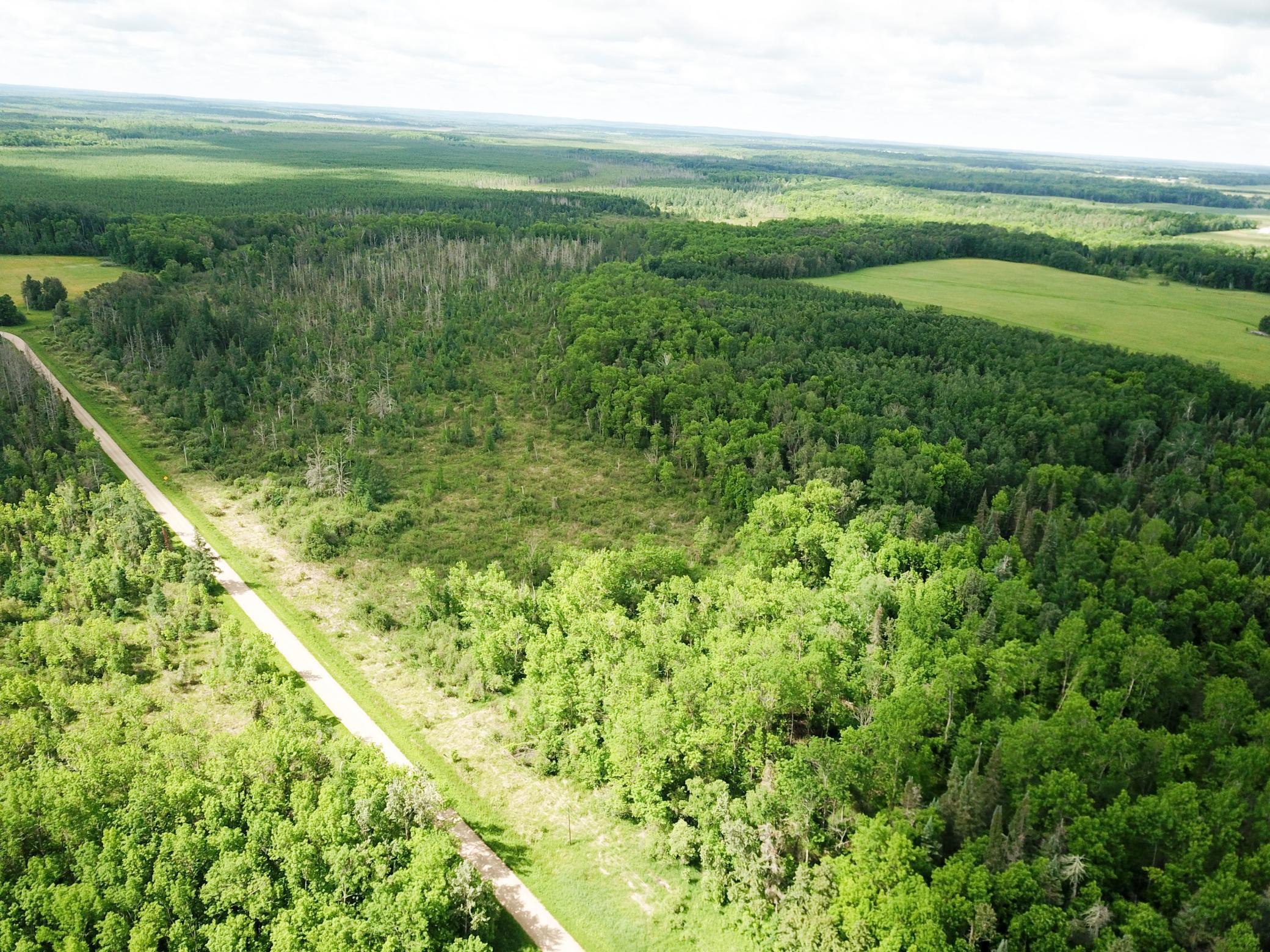 Tbd1 Mud Lake Road Property Photo 23