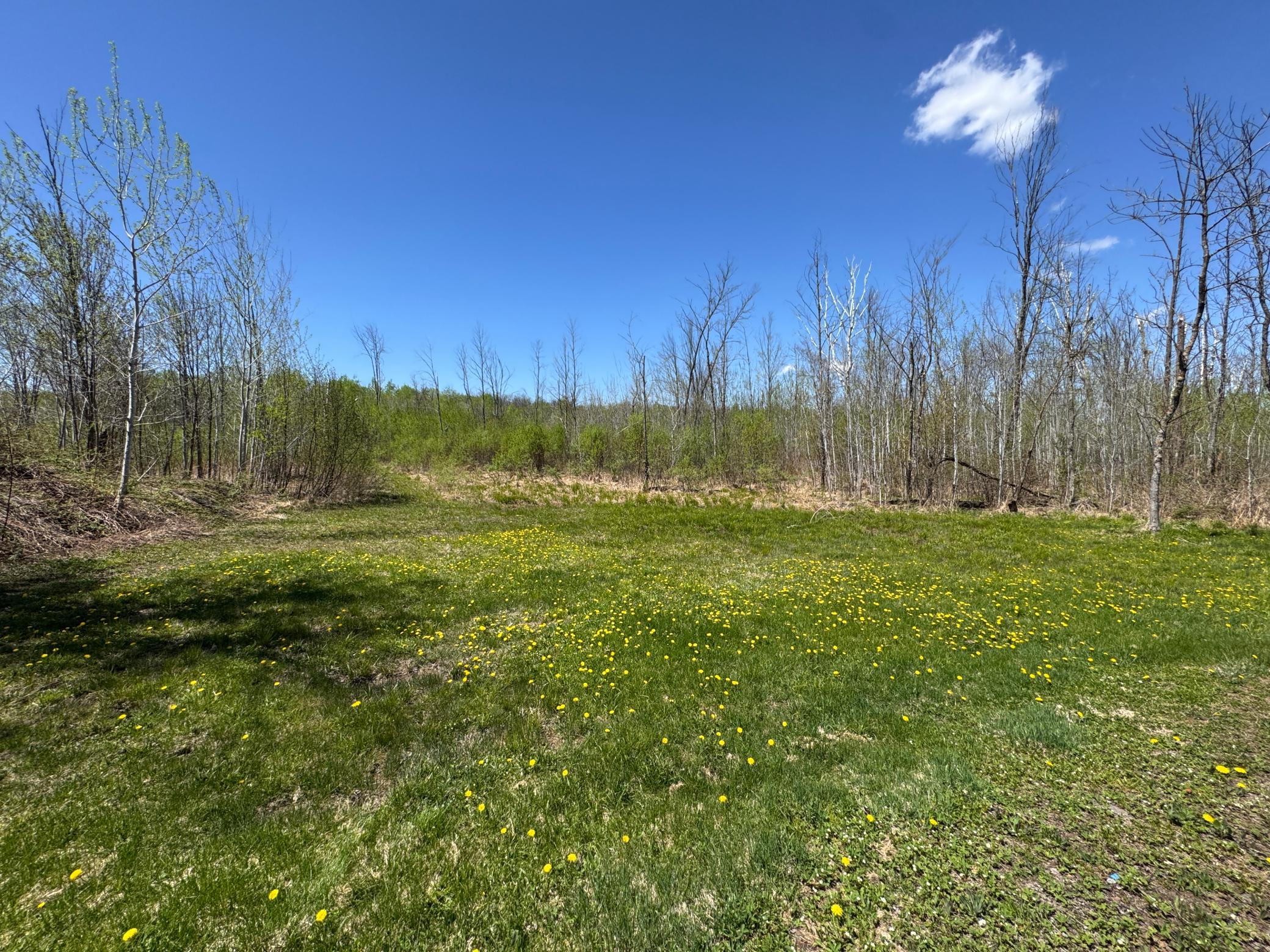 7233 Brown Road Property Photo 12