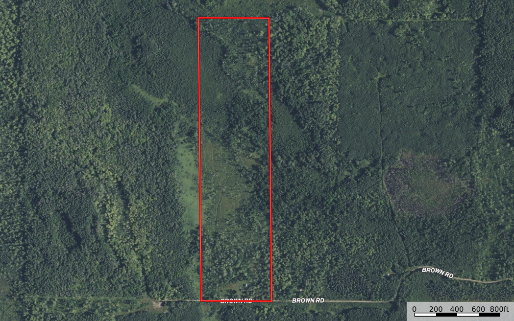 7233 Brown Road Property Photo 16
