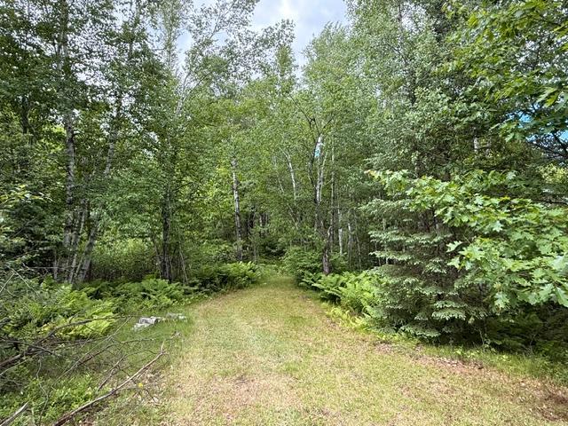 1672 County Road 146 Property Photo 26