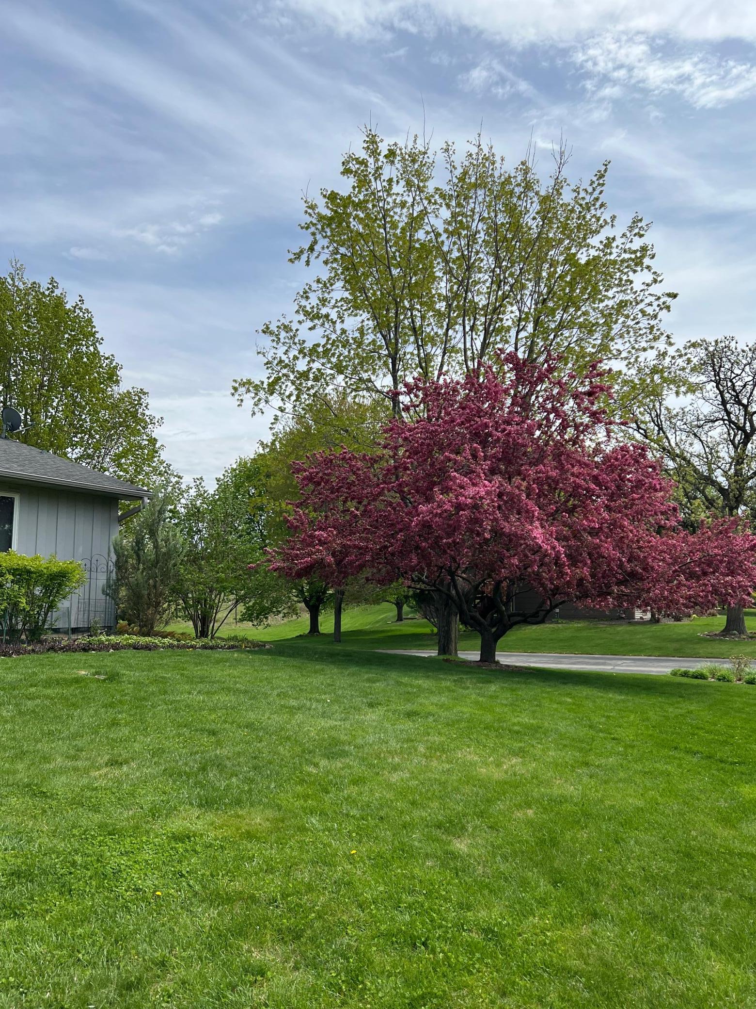 3840 Riverton Avenue Property Photo 39