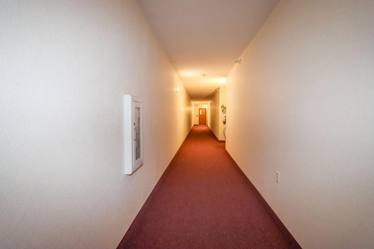101 Albion Avenue 307 Property Photo 8