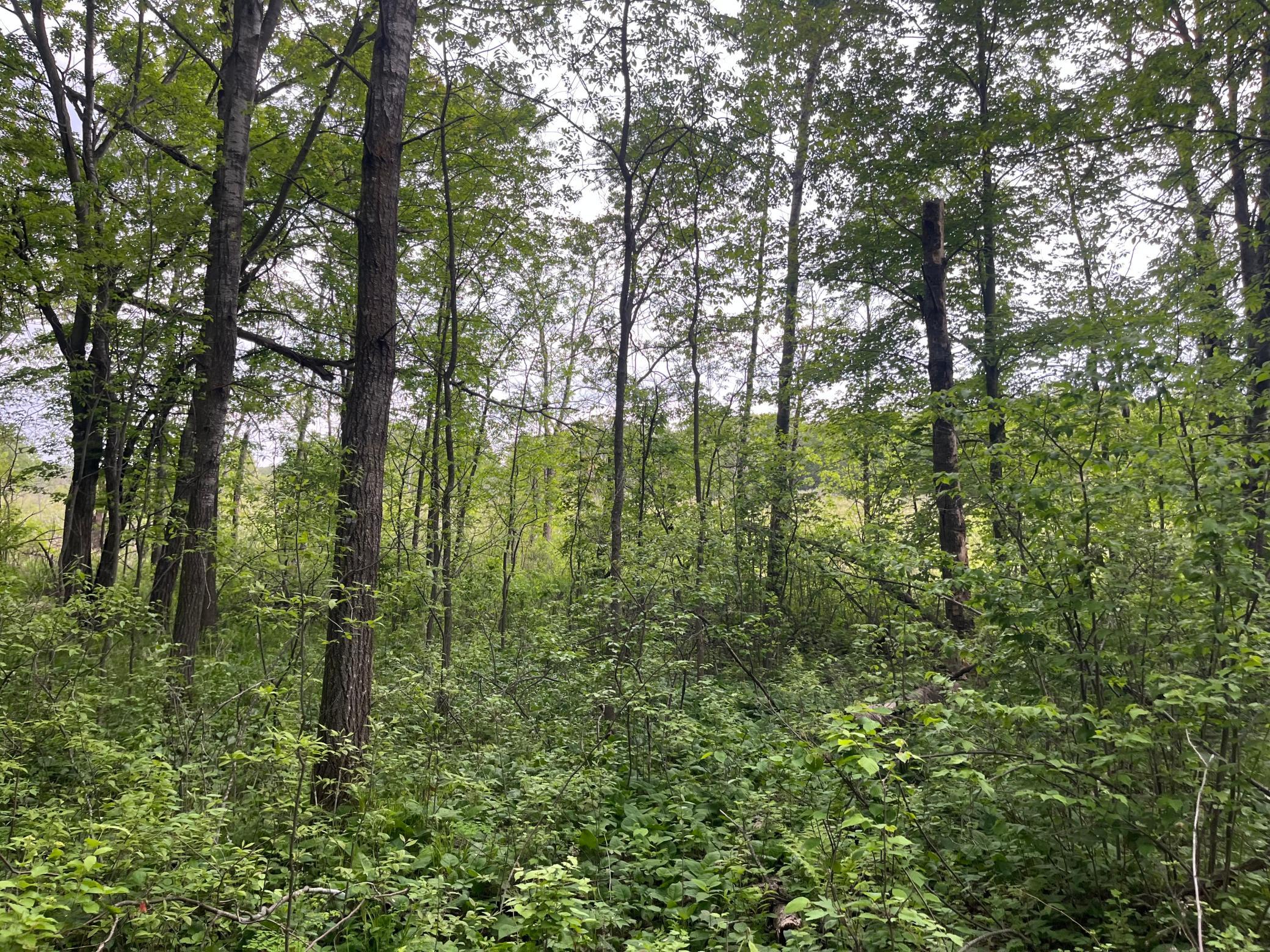 Tbd Crust Road Property Photo 3