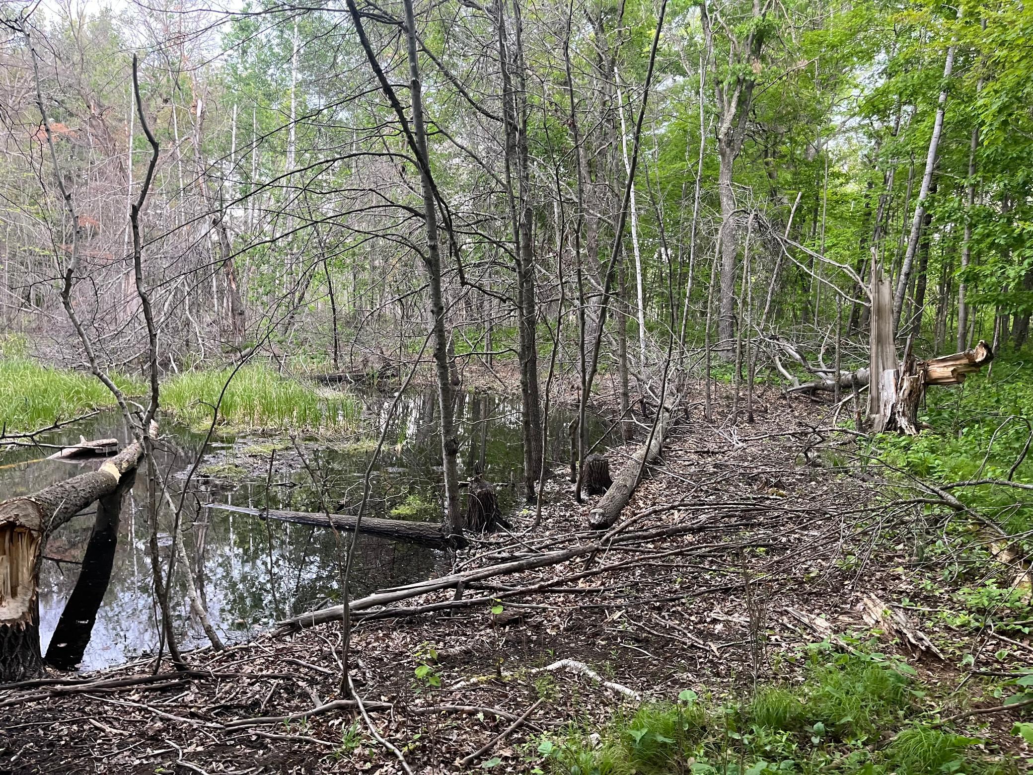 Tbd Crust Road Property Photo 23