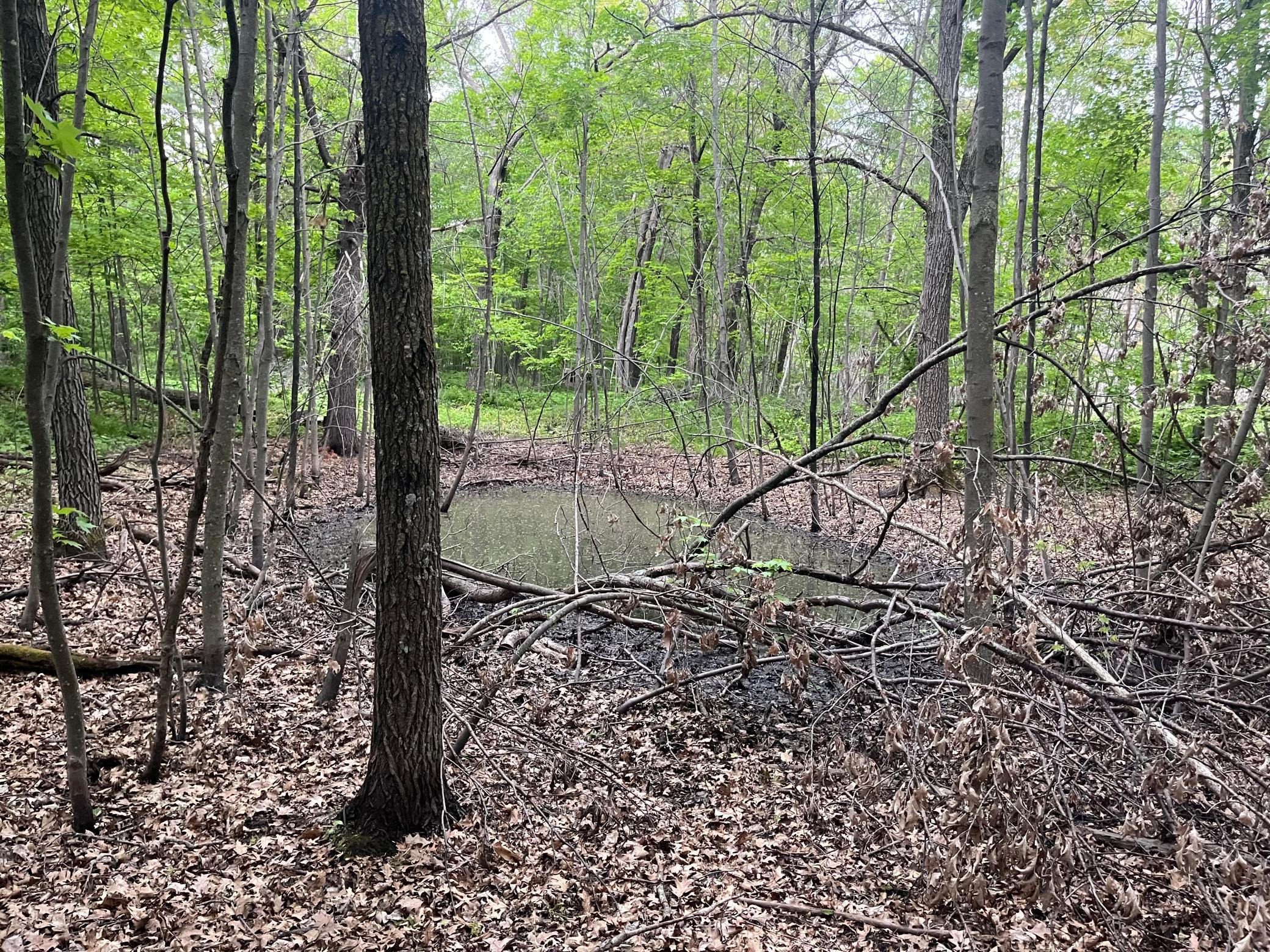 Tbd Crust Road Property Photo 25