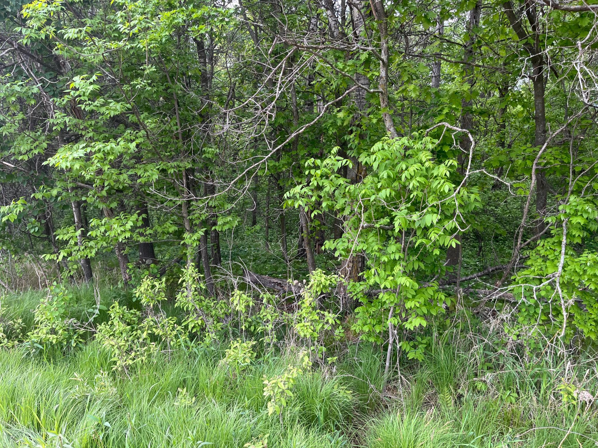 Tbd Crust Road Property Photo 26