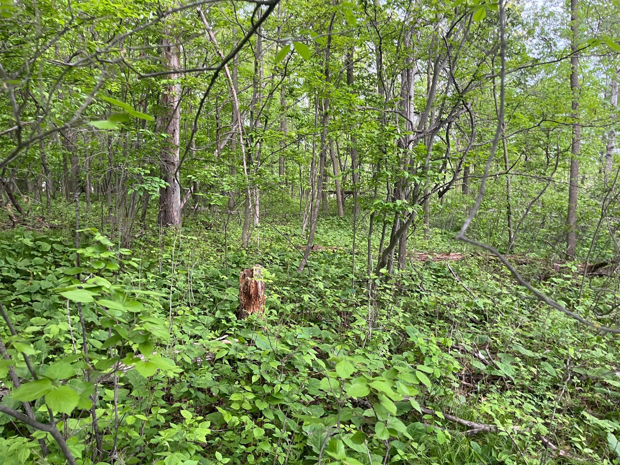 Tbd Crust Road Property Photo 29