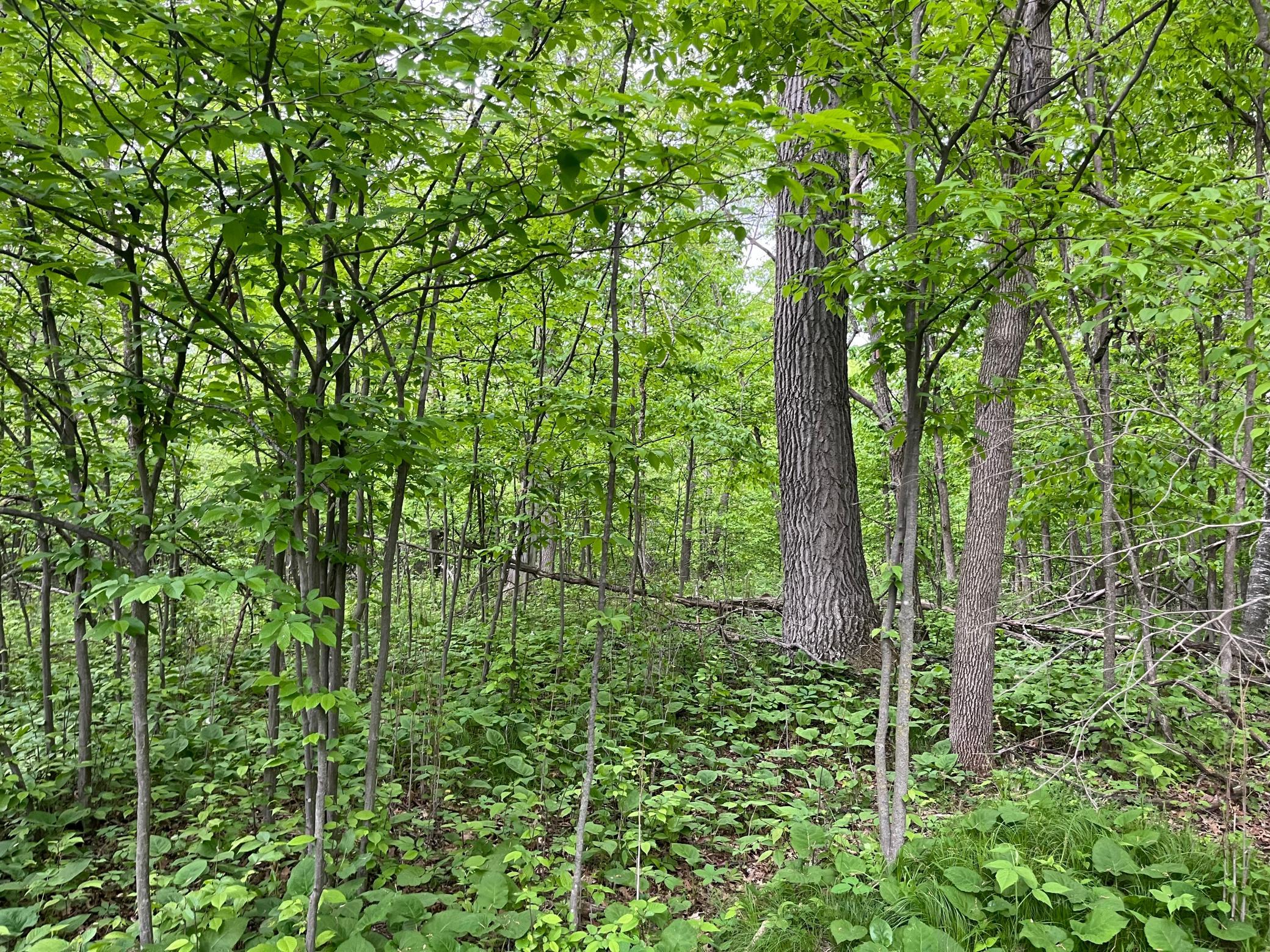 Tbd Crust Road Property Photo 30