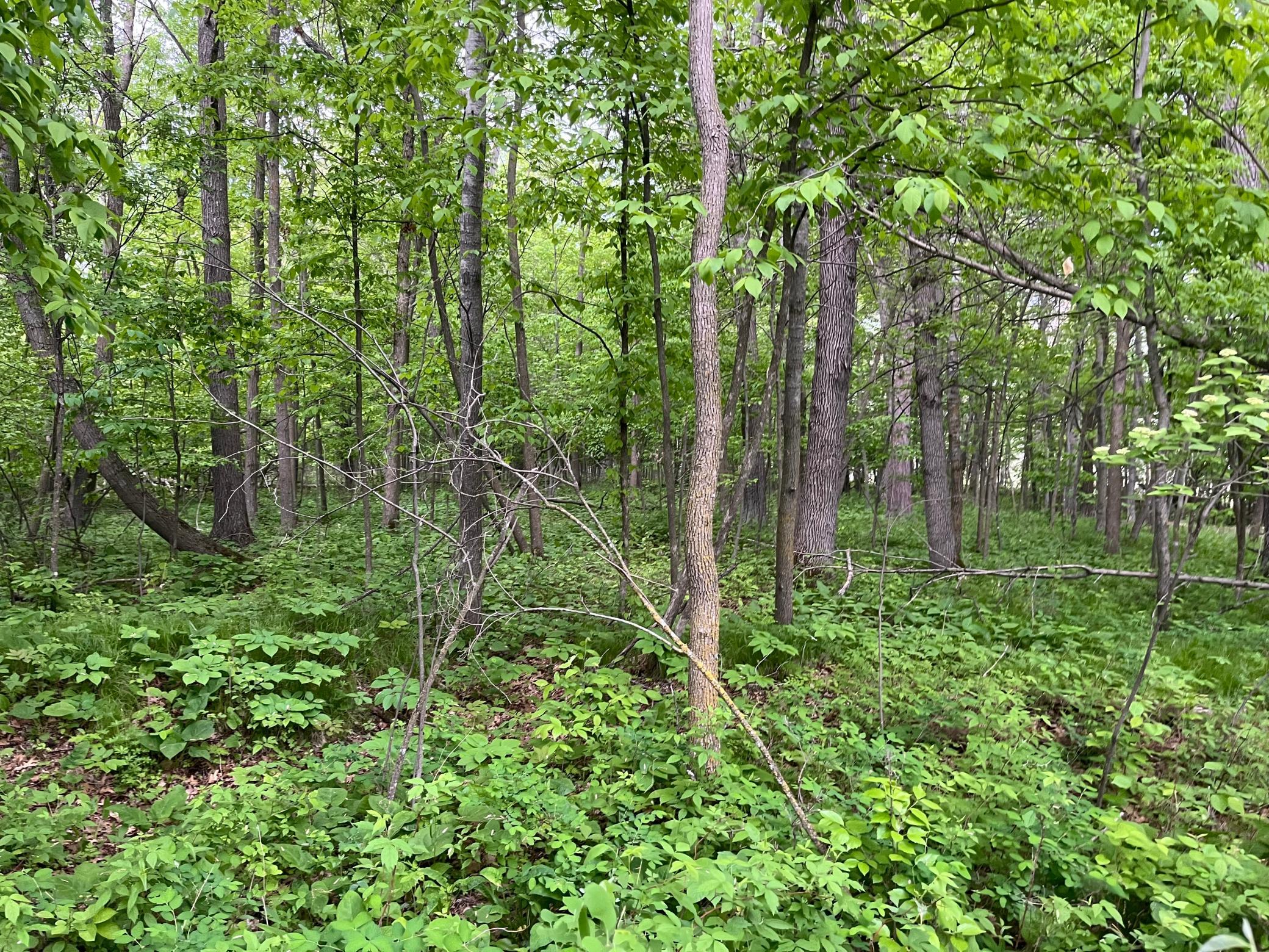 Tbd Crust Road Property Photo 31