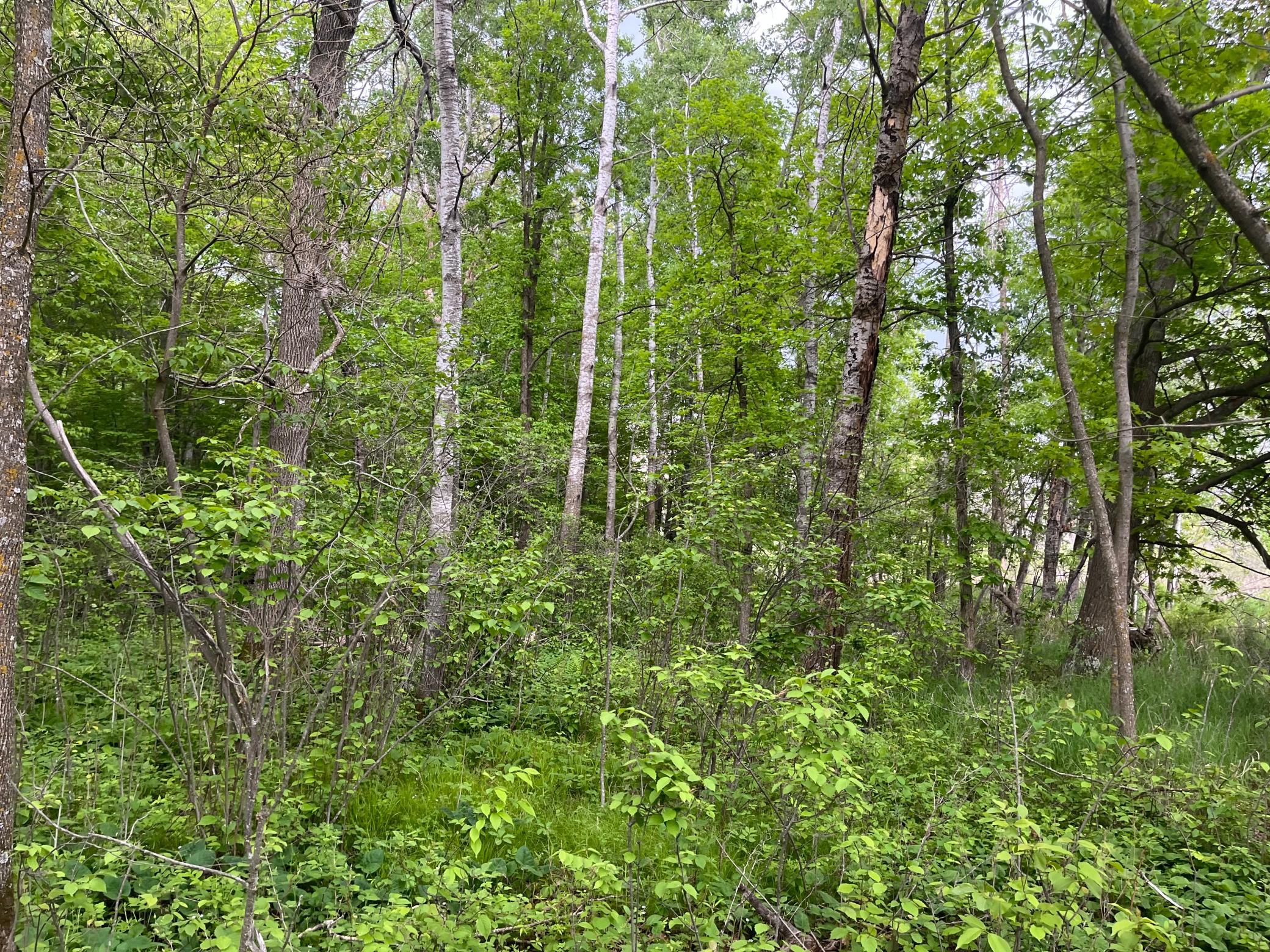 Tbd Crust Road Property Photo 32