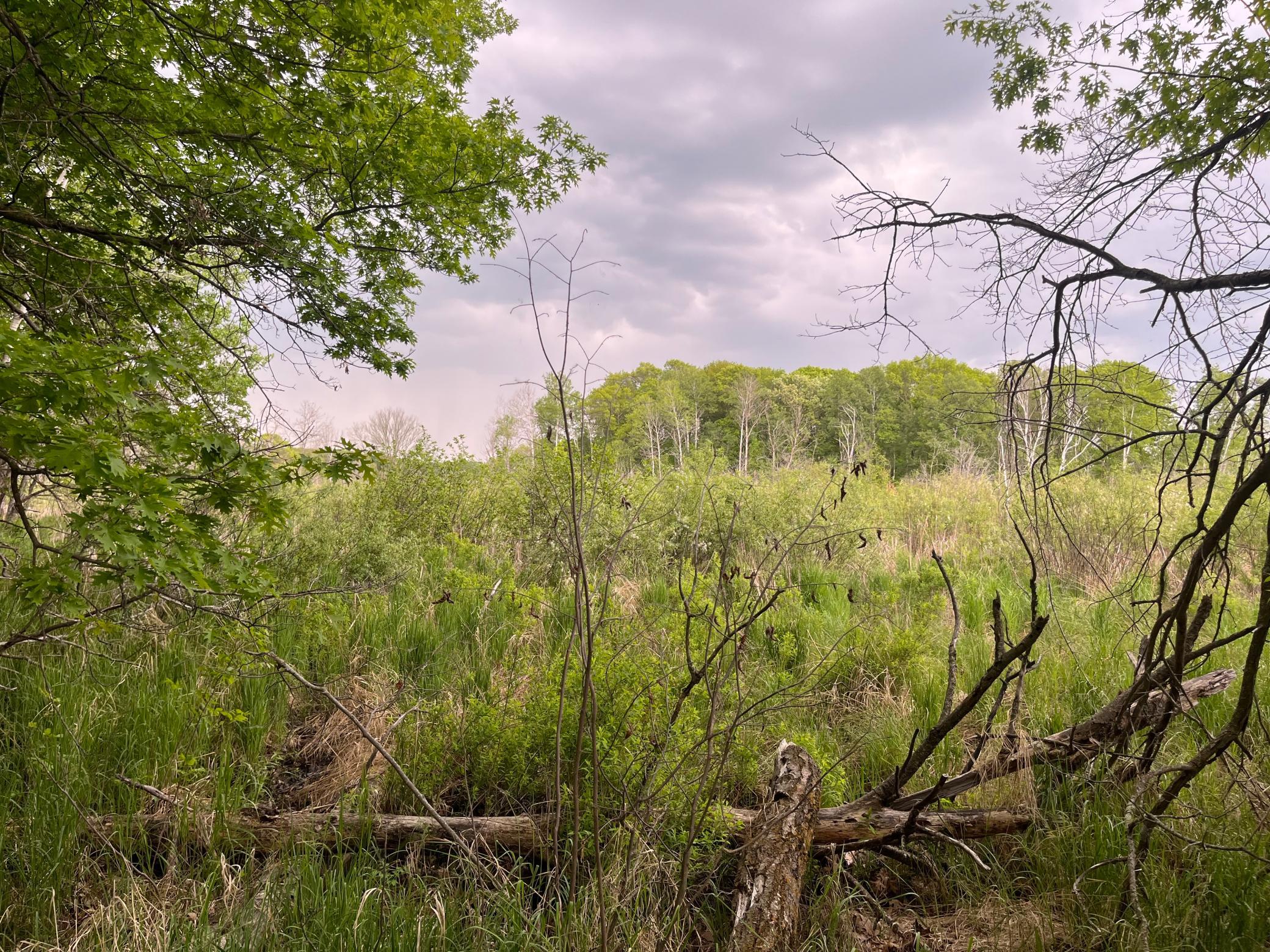 Tbd Crust Road Property Photo 33