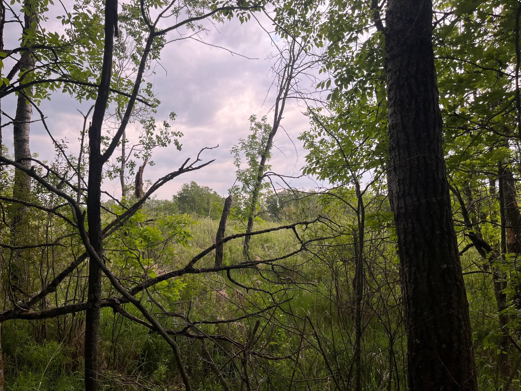 Tbd Crust Road Property Photo 34