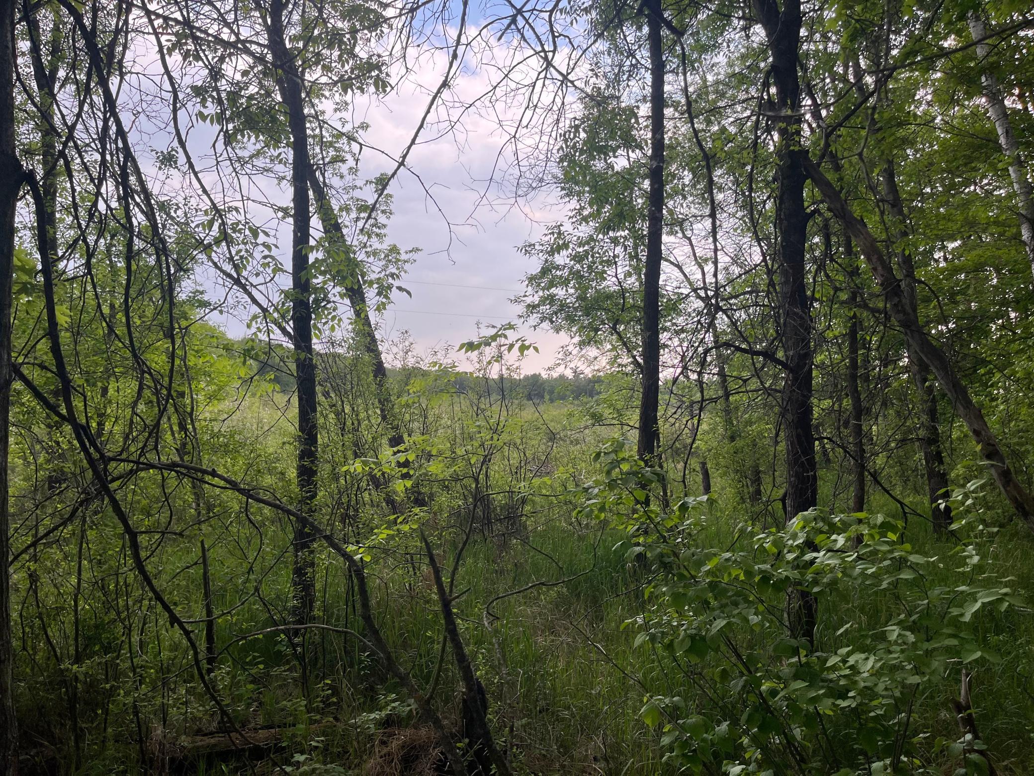 Tbd Crust Road Property Photo 35