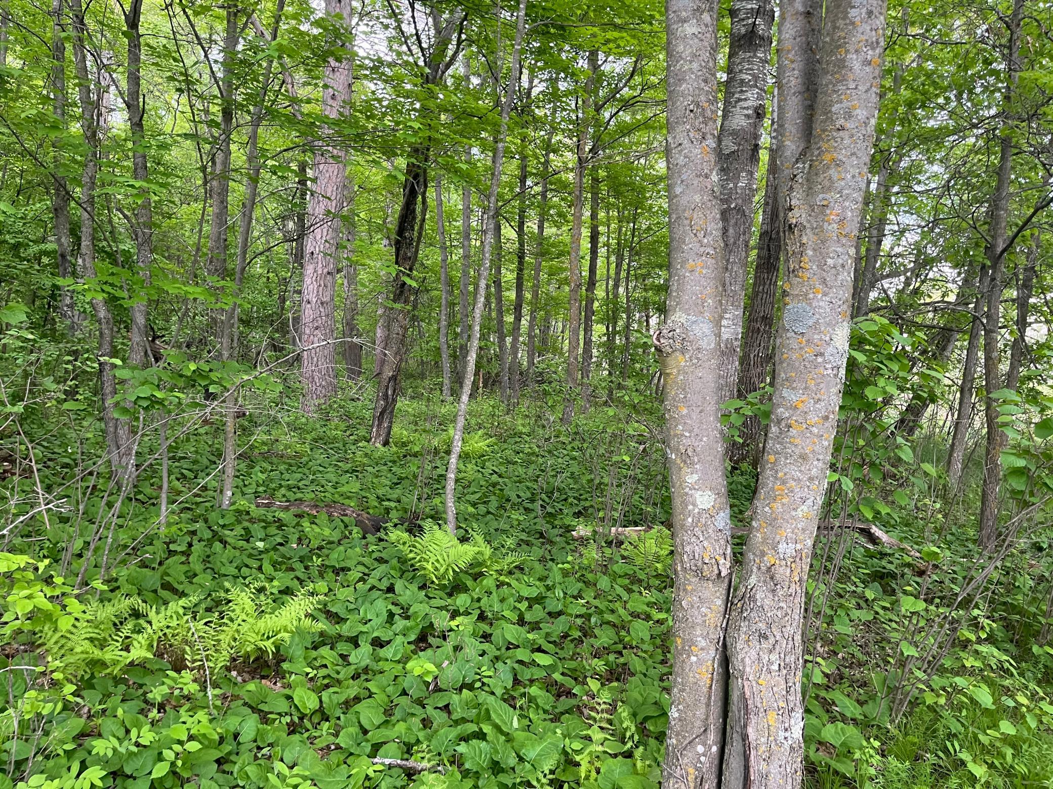 Tbd Crust Road Property Photo 36