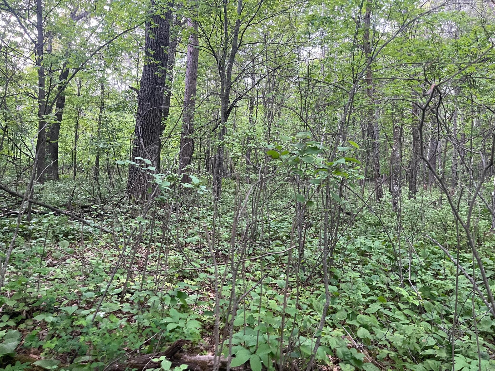 Tbd Crust Road Property Photo 39