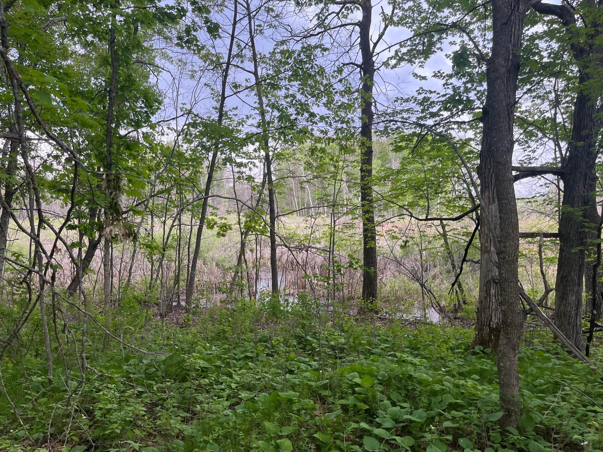 Tbd Crust Road Property Photo 41
