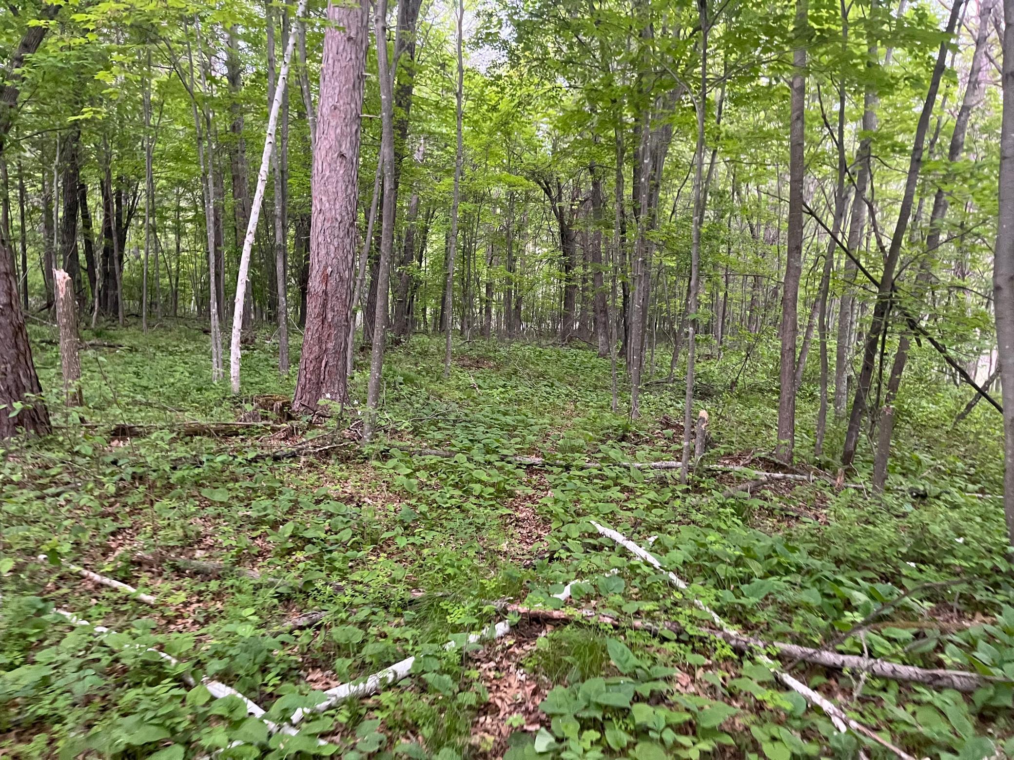 Tbd Crust Road Property Photo 42