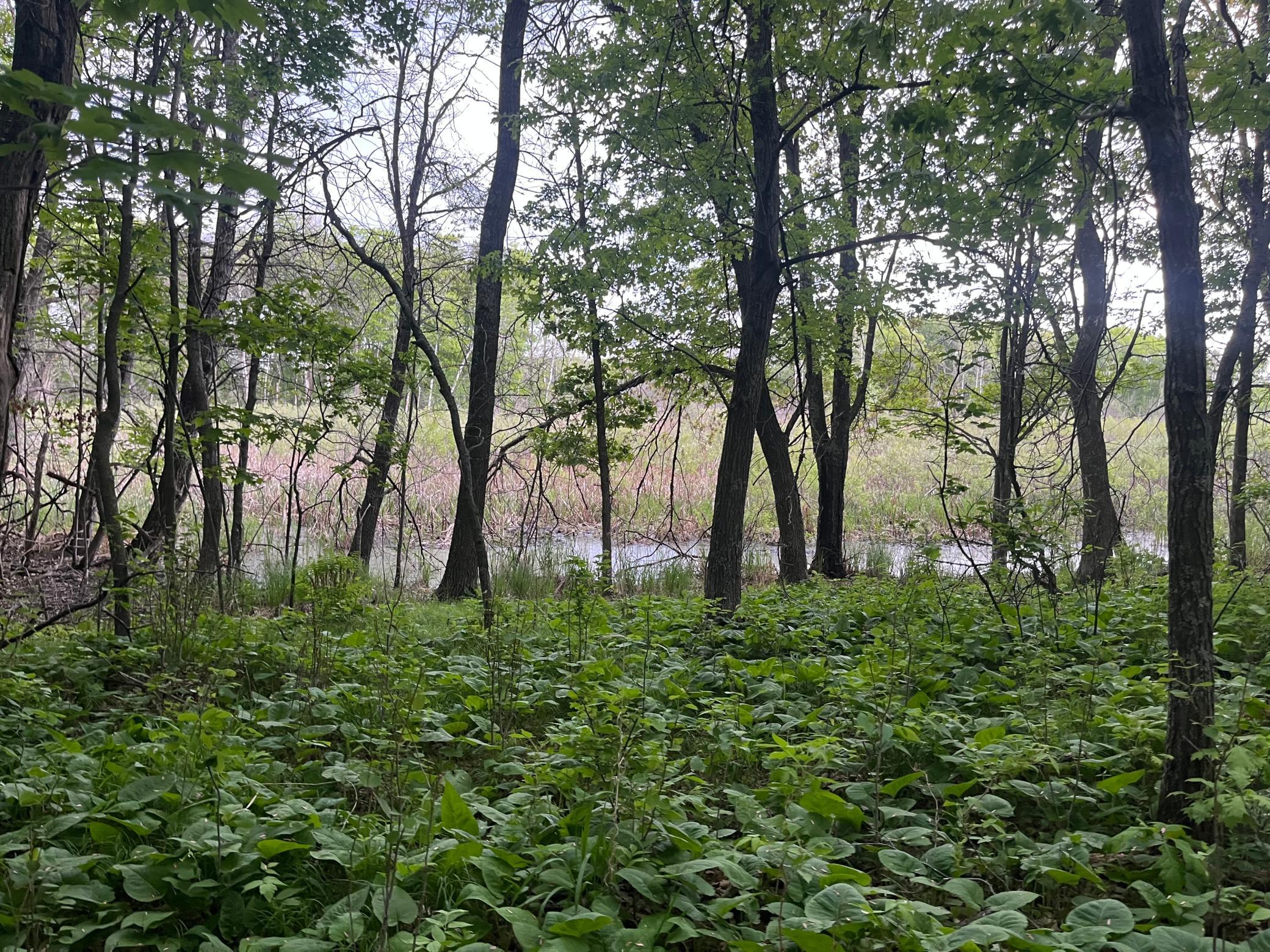 Tbd Crust Road Property Photo 44