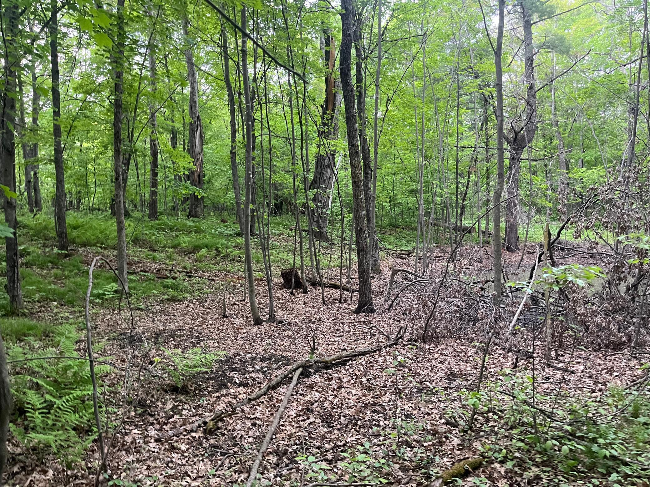 Tbd Crust Road Property Photo 45