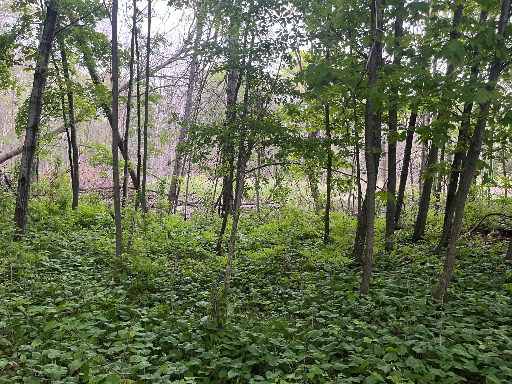 Tbd Crust Road Property Photo 47
