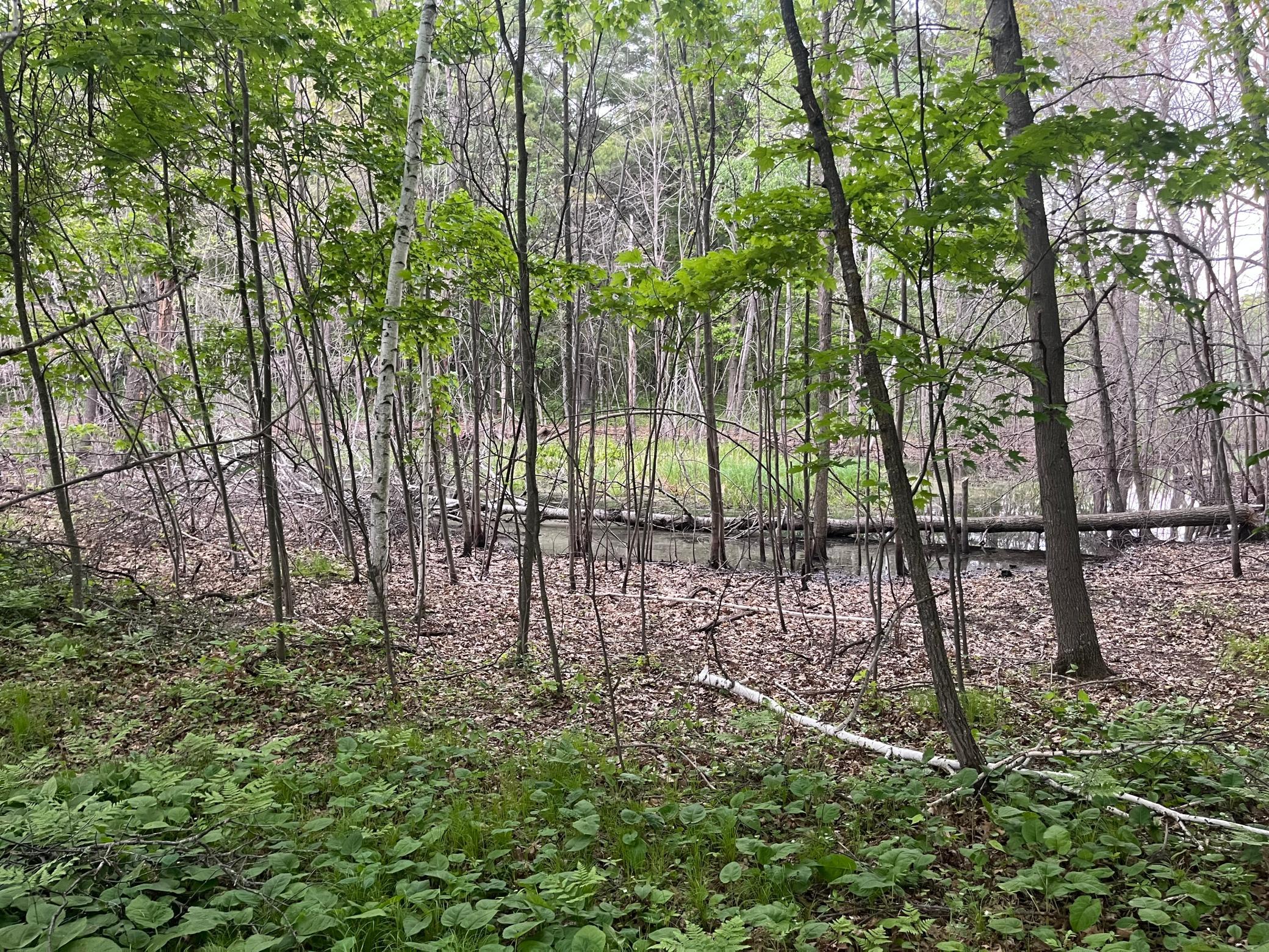 Tbd Crust Road Property Photo 48