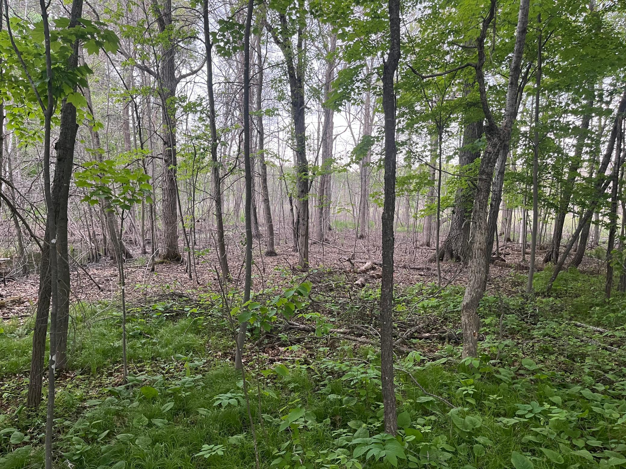 Tbd Crust Road Property Photo 49