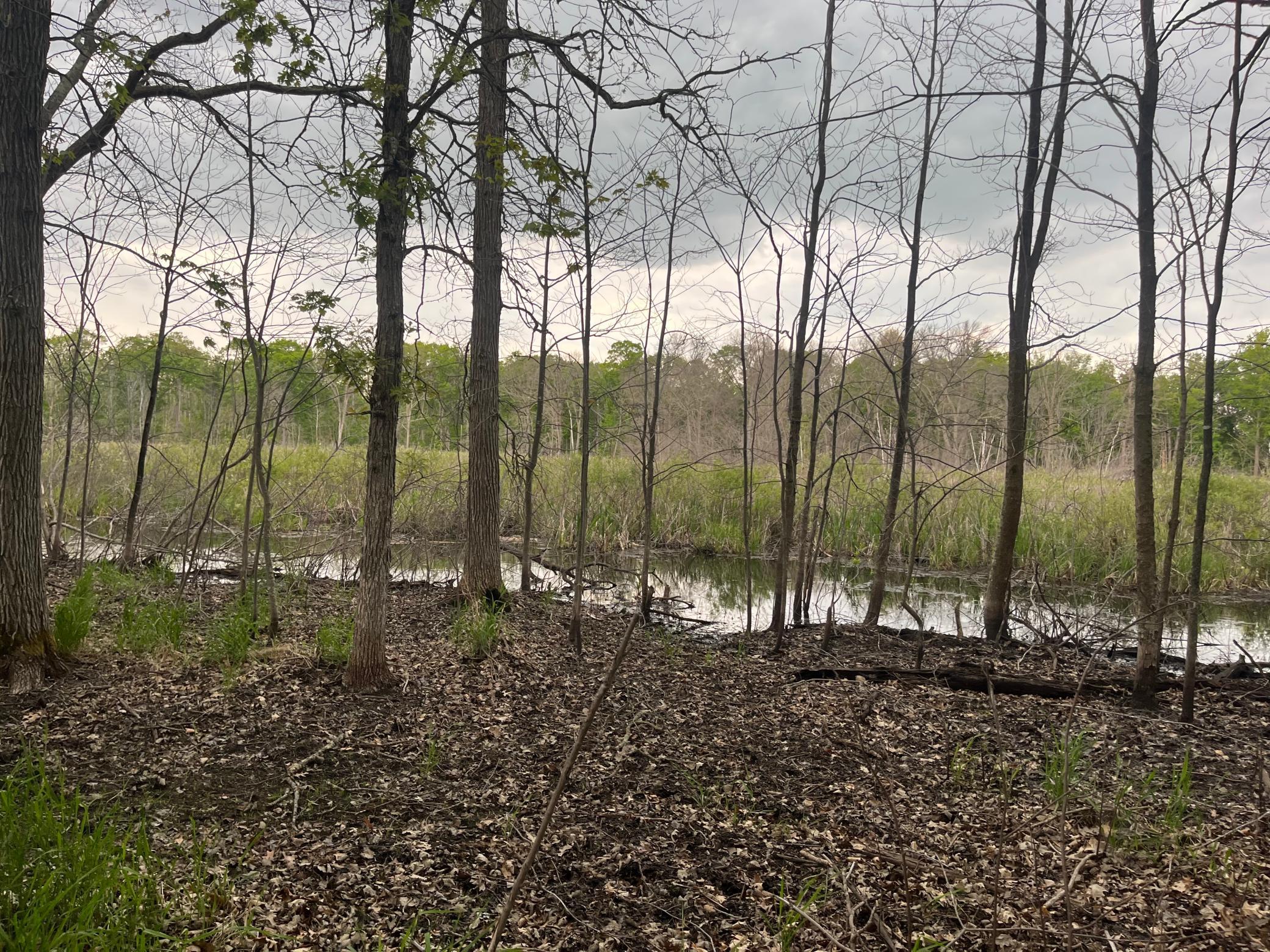 Tbd Crust Road Property Photo 51