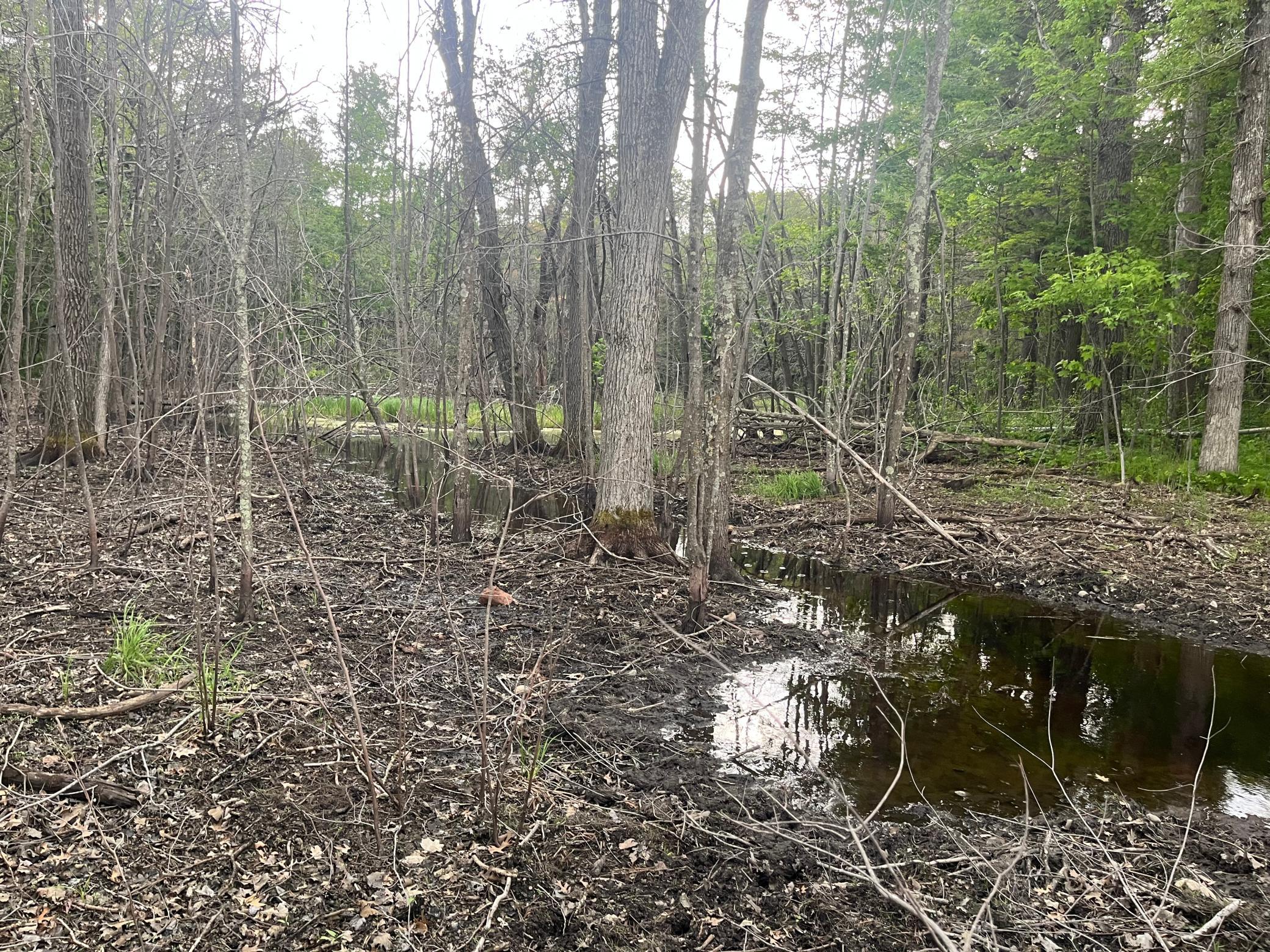 Tbd Crust Road Property Photo 55