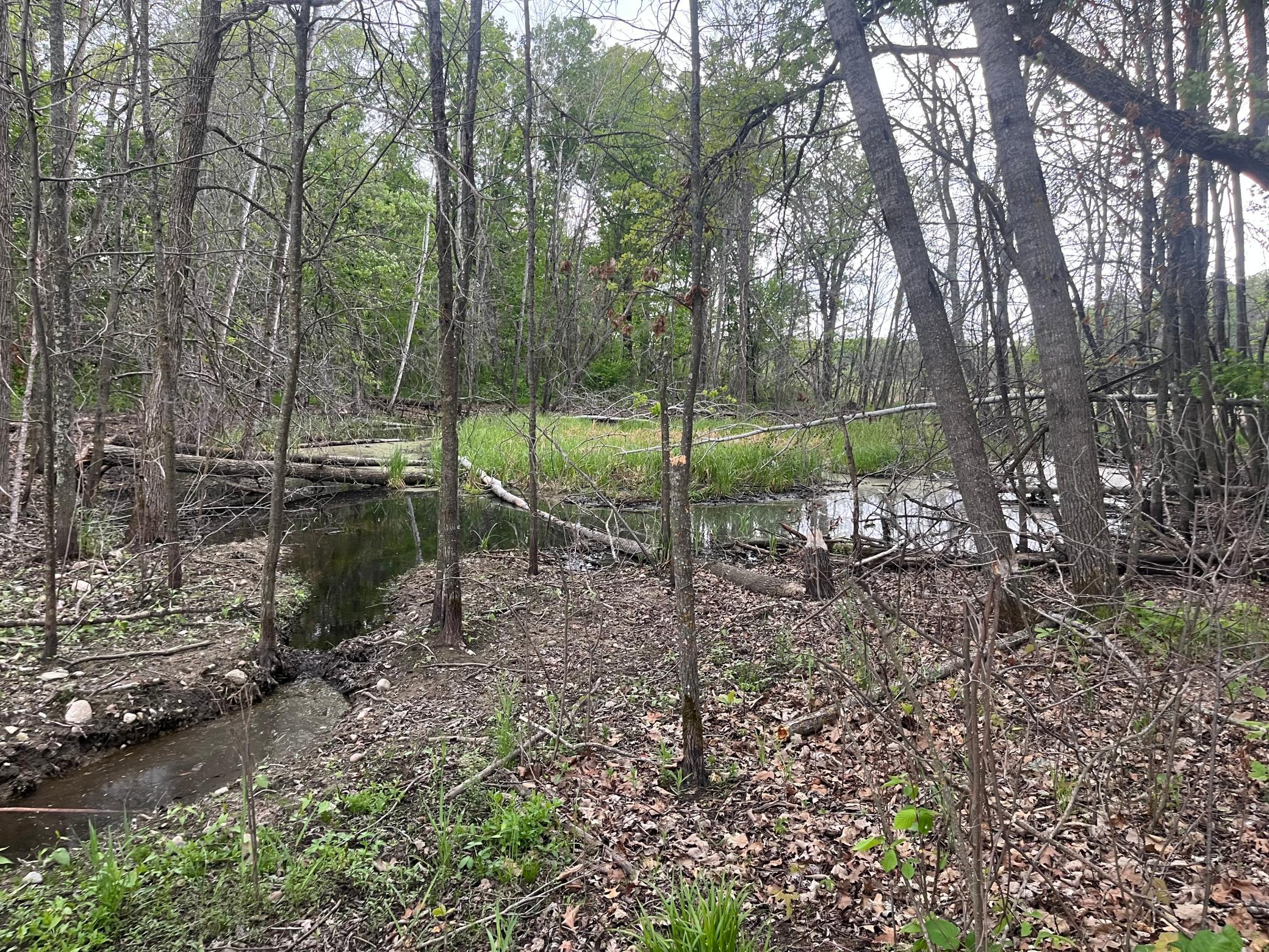 Tbd Crust Road Property Photo 56