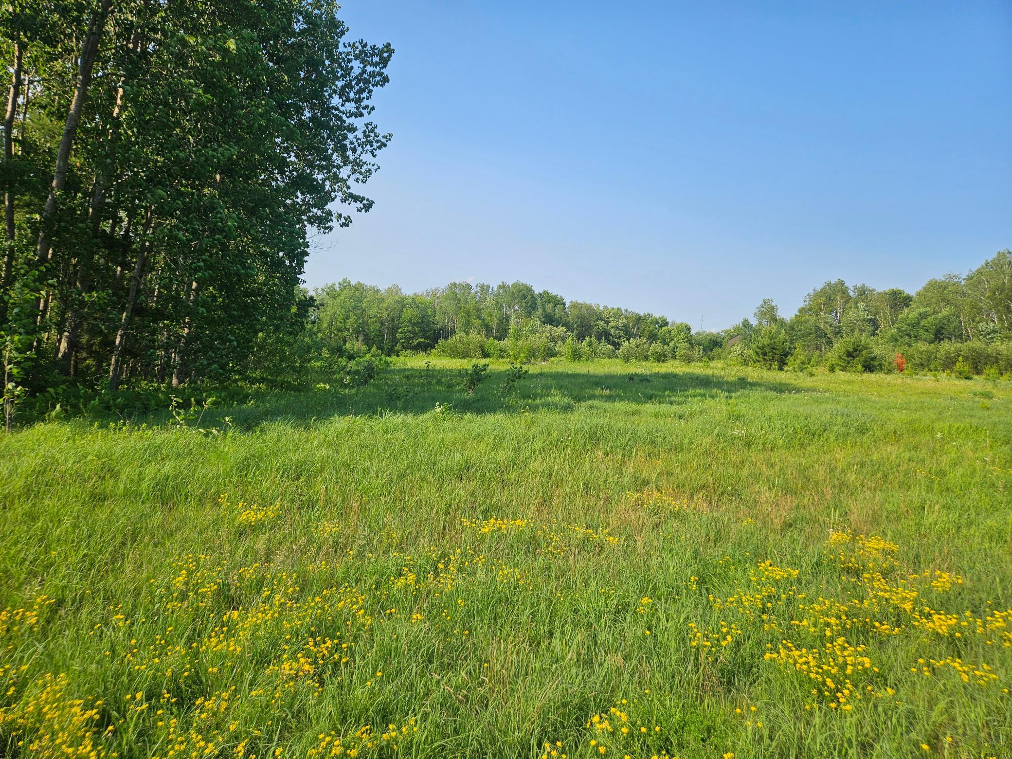 21048 County Road 36 Property Photo 4