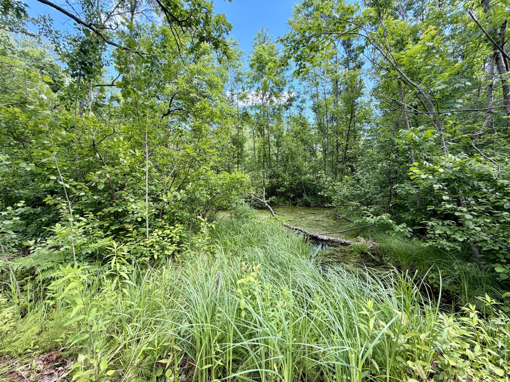 27639 Gateway Road Property Photo 8