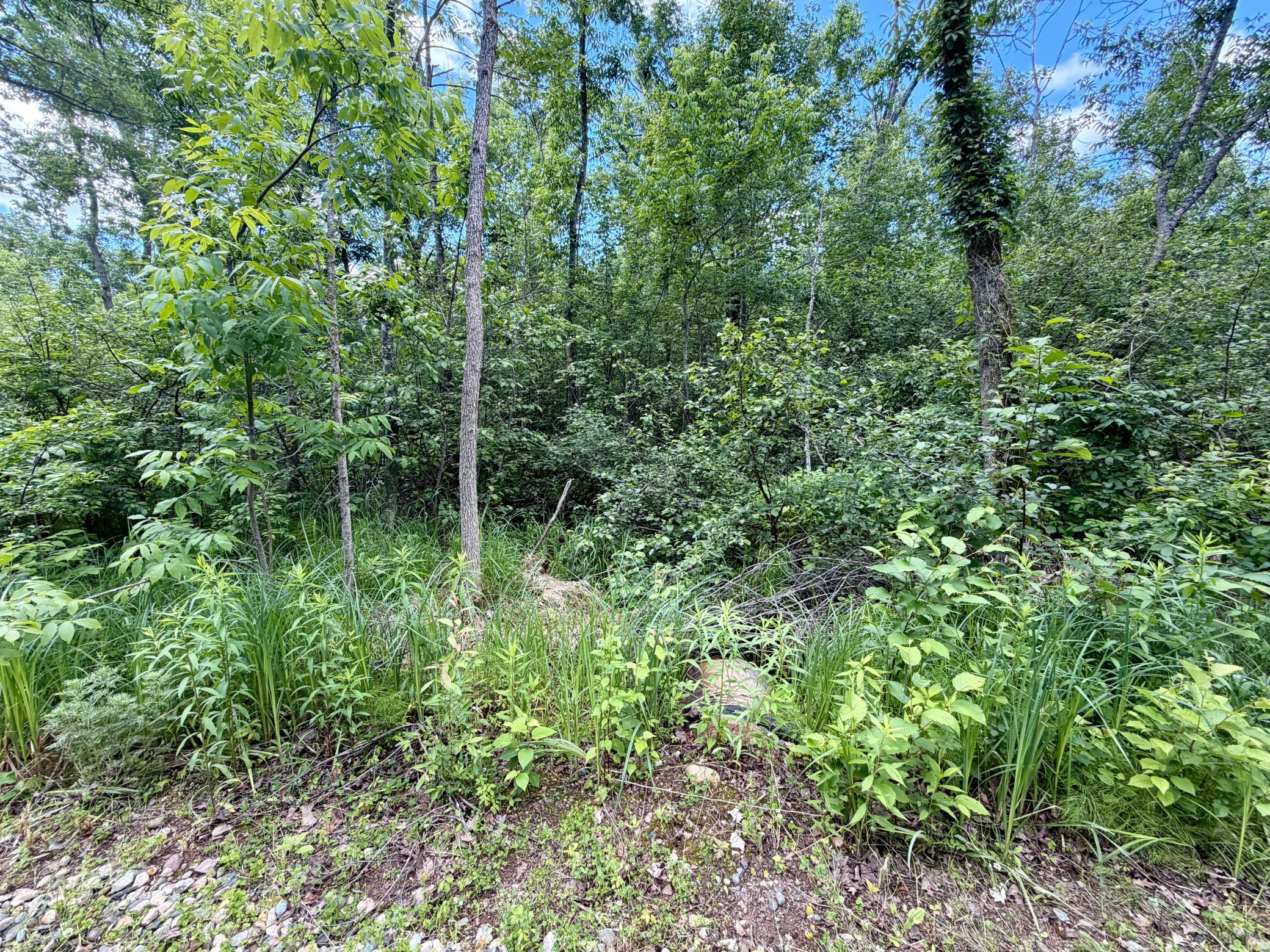 27639 Gateway Road Property Photo 9