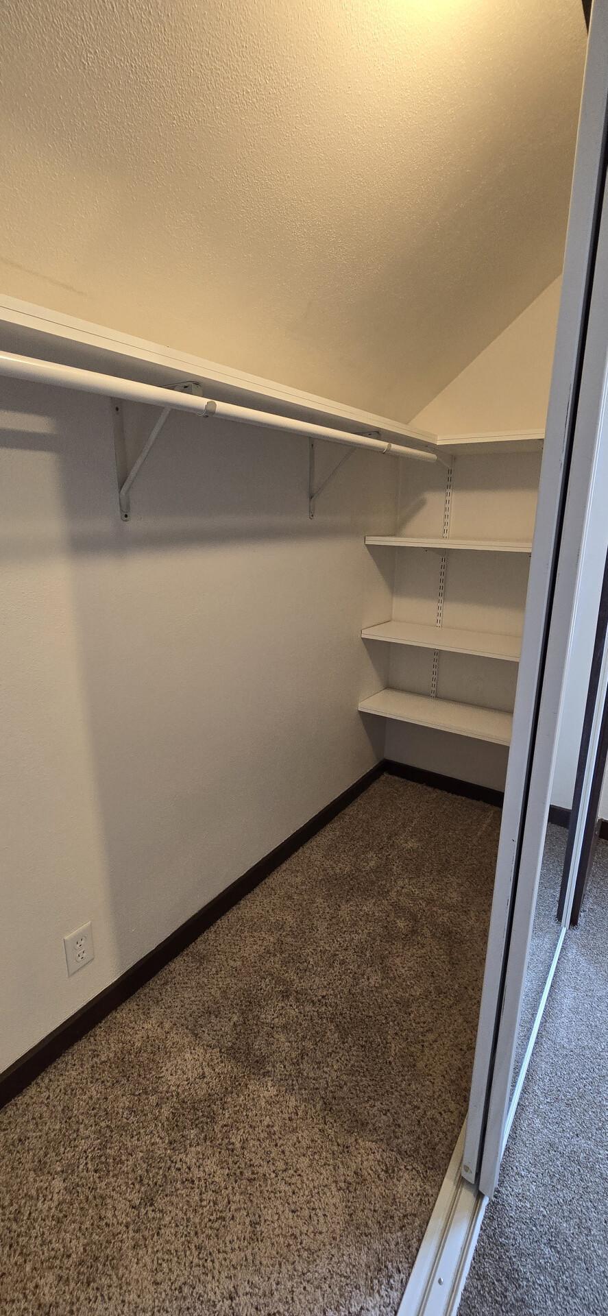 101 Wilson Street Property Photo 21
