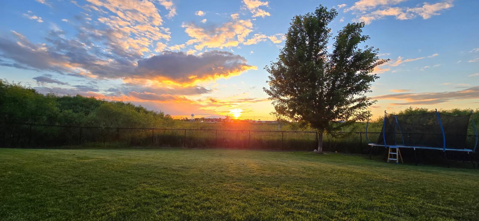 2019 Martini Drive Property Photo 28