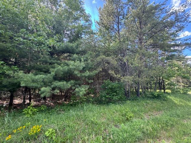 25385 Spaulding Road Property Photo 2