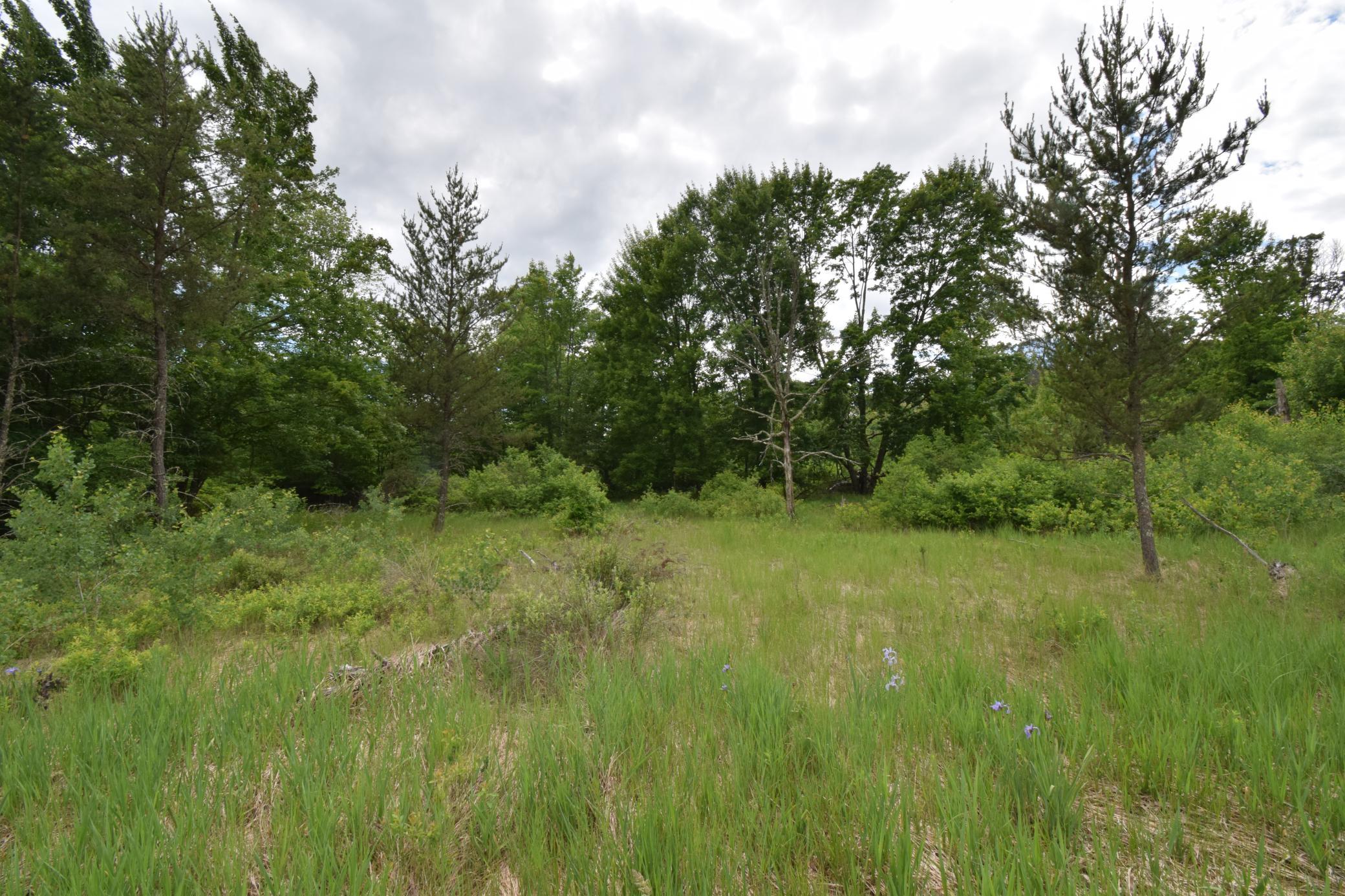 25385 Spaulding Road Property Photo 3