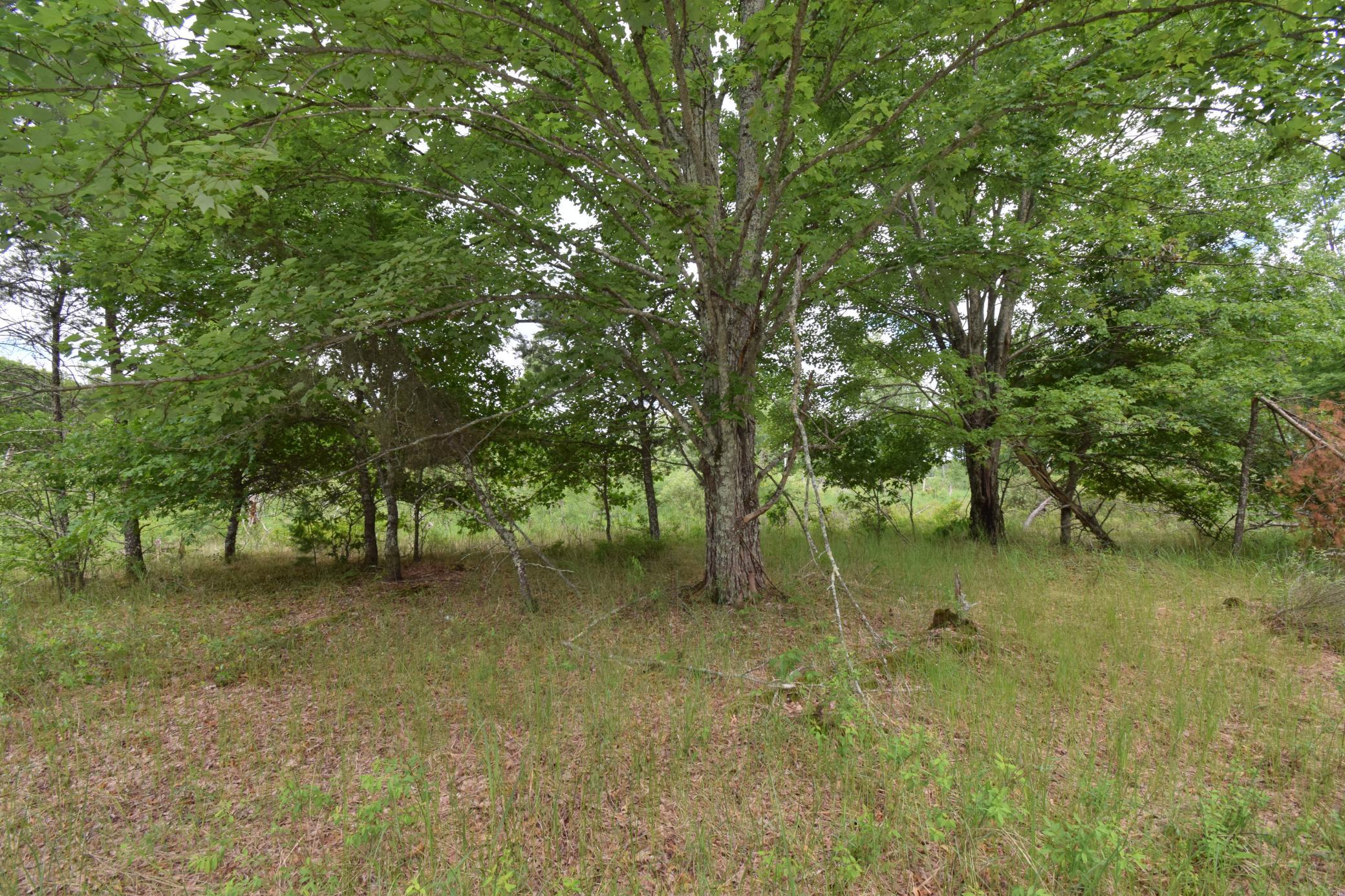 25385 Spaulding Road Property Photo 4