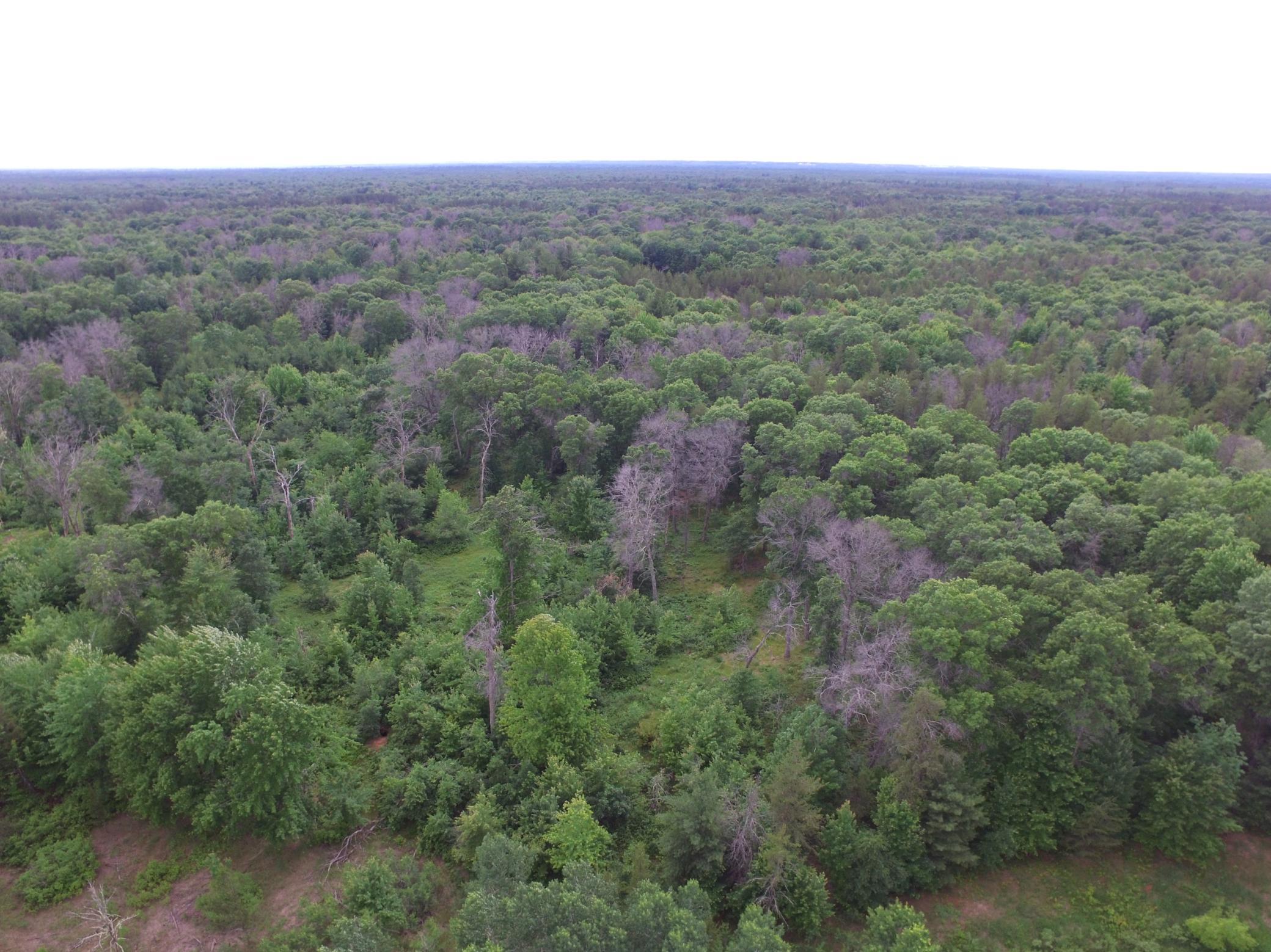 25385 Spaulding Road Property Photo 5