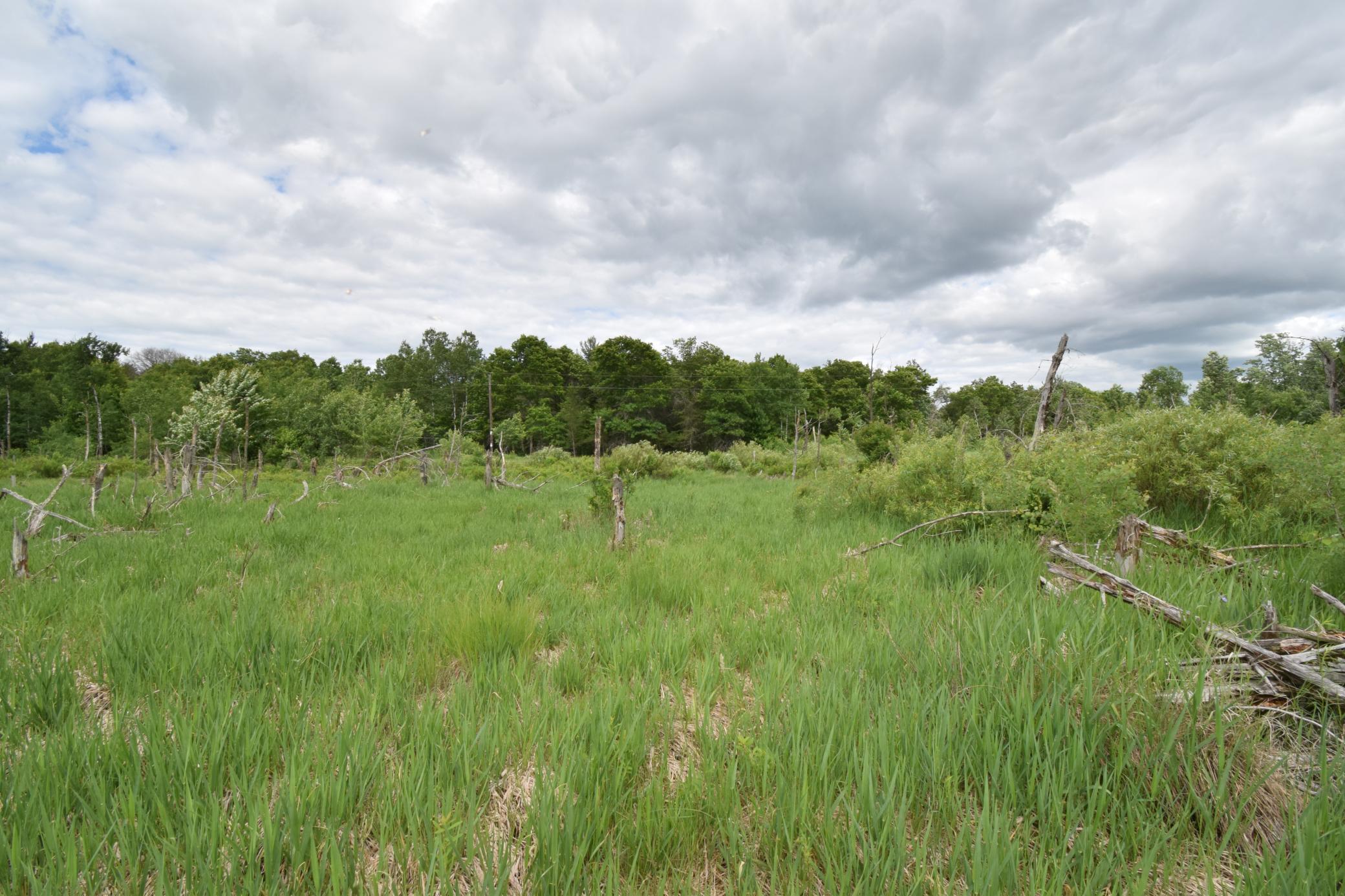 25385 Spaulding Road Property Photo 6