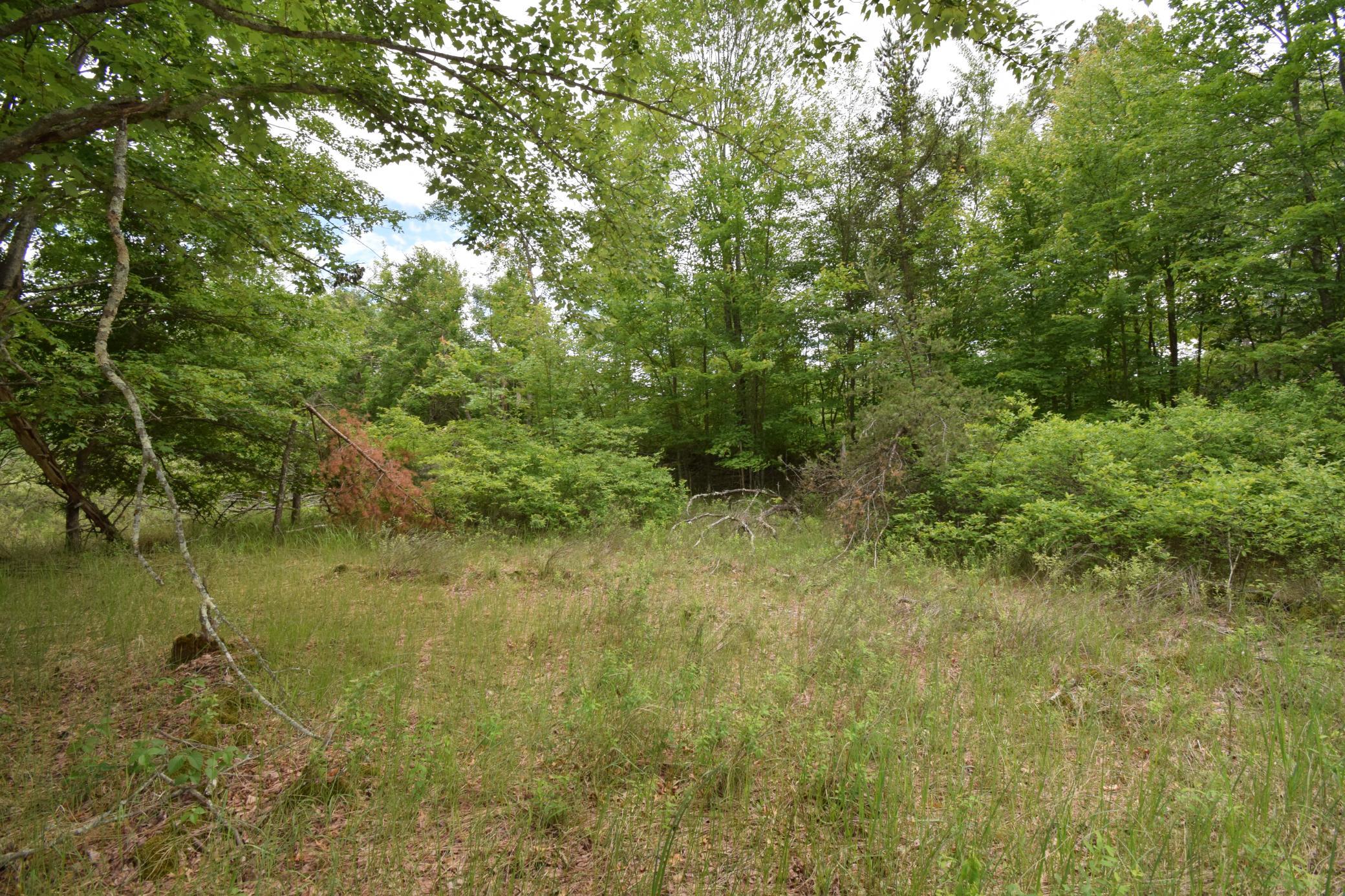 25385 Spaulding Road Property Photo 7